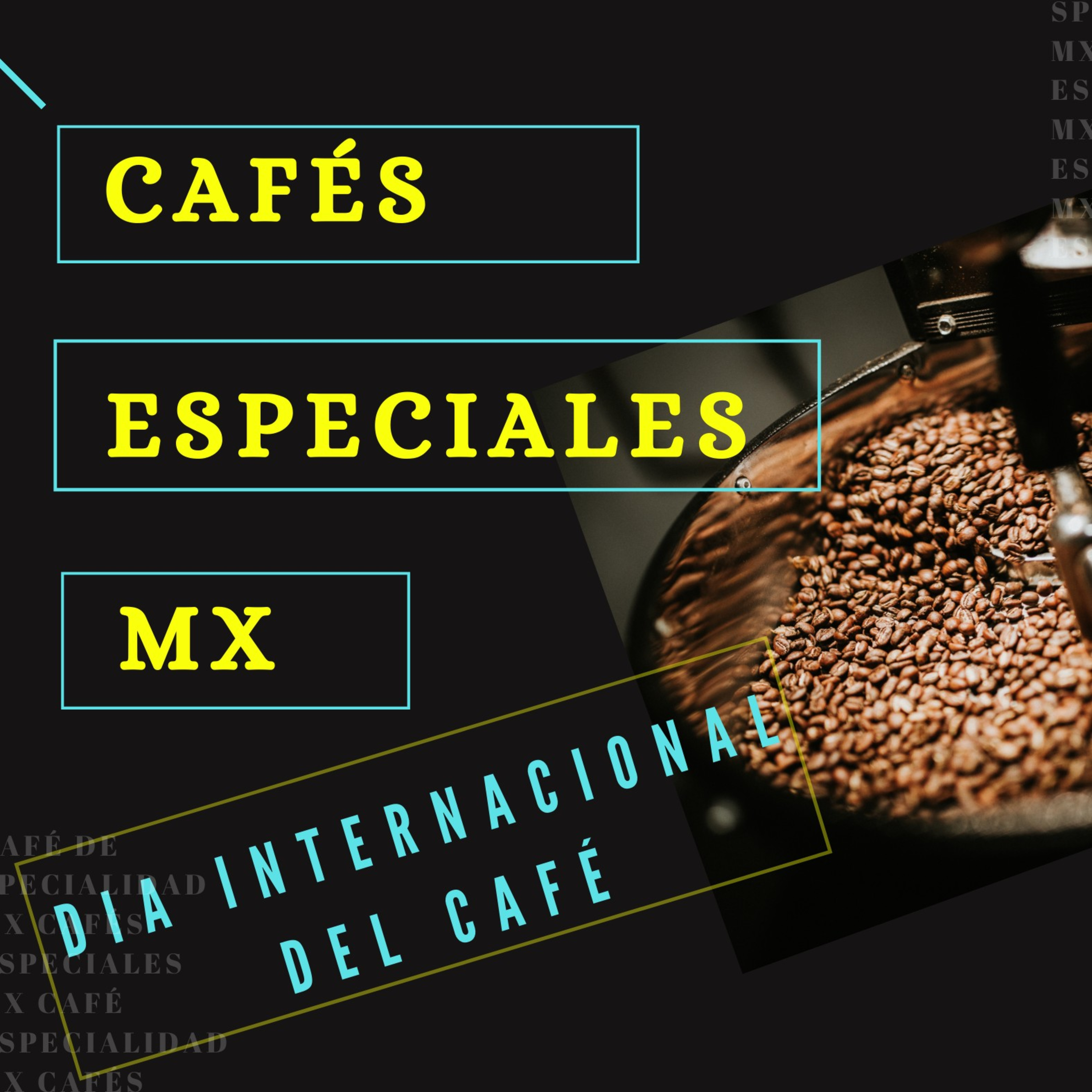 Café de Especialidad Mx