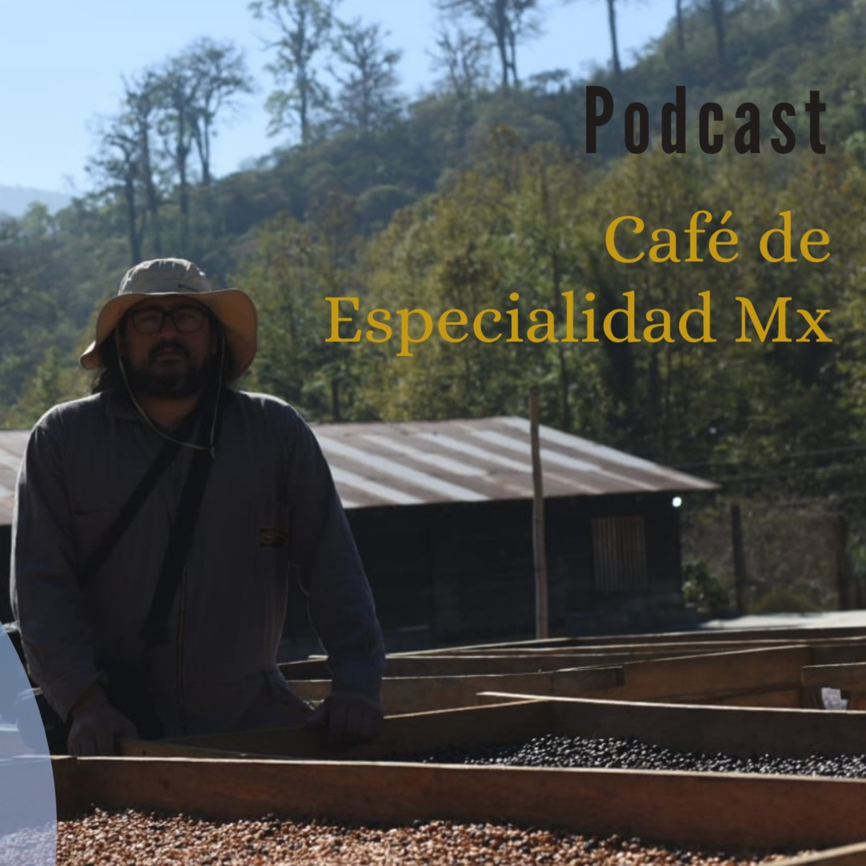Café de Especialidad Mx
