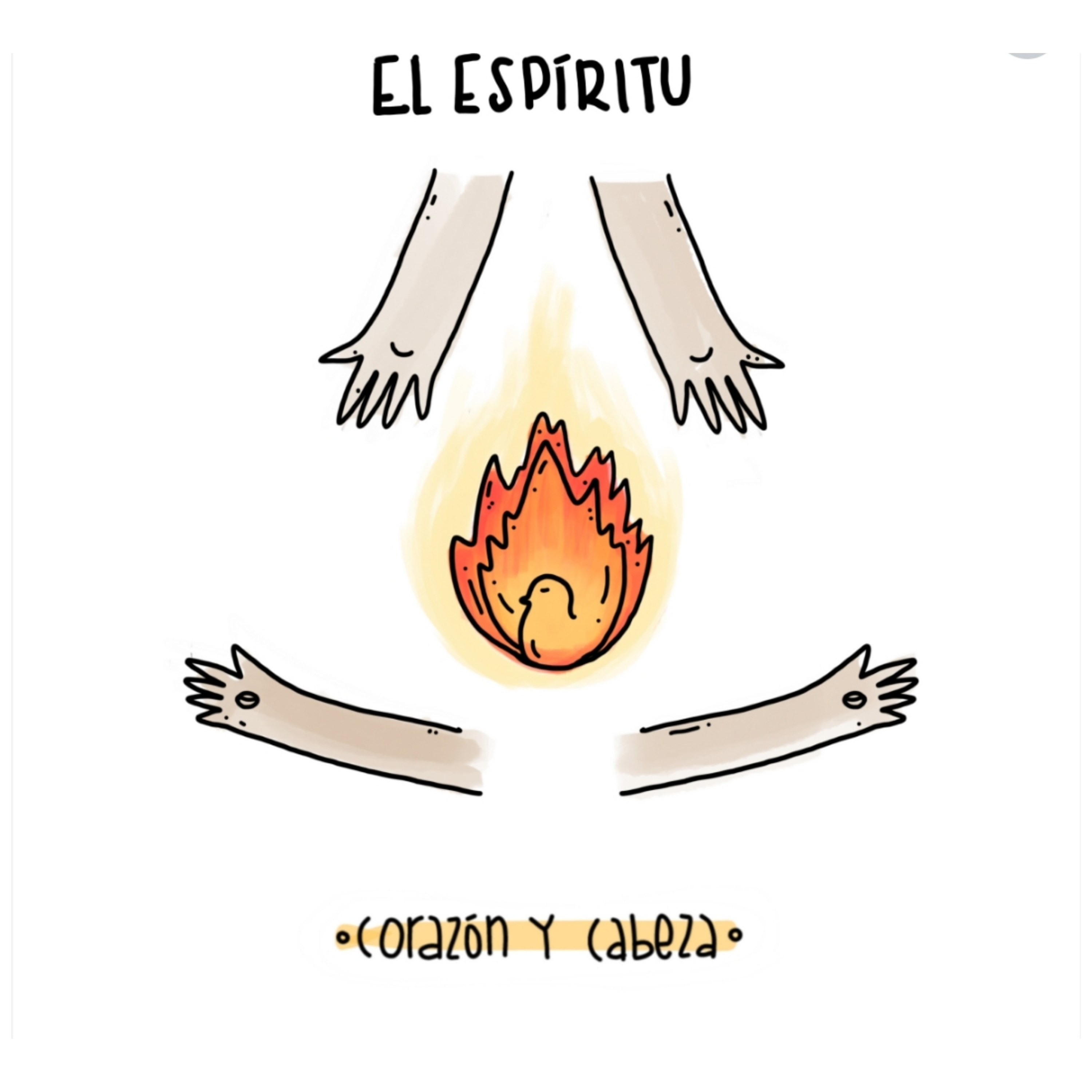 corazón y cabeza
