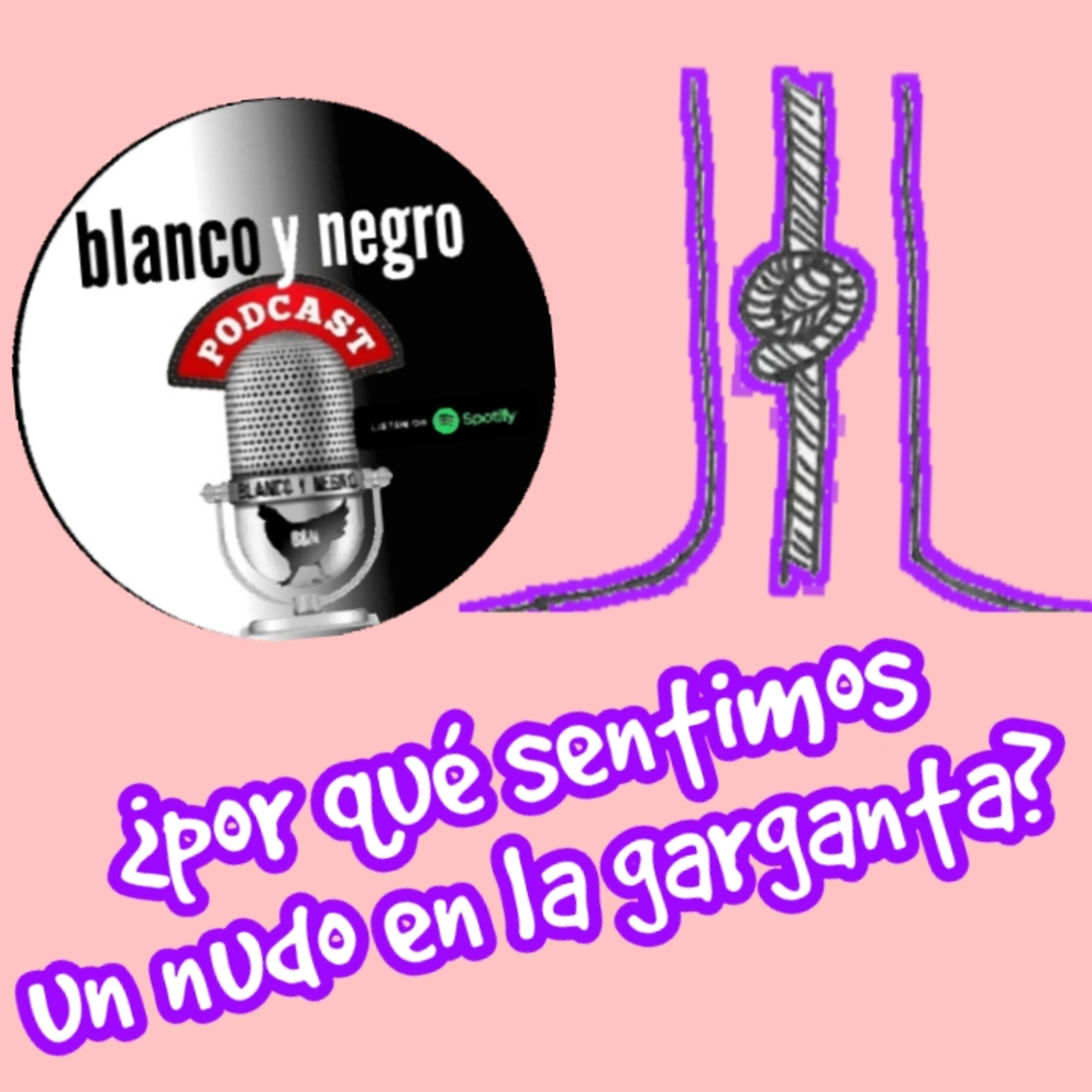 ¿POR QUÉ SENTIMOS UN NUDO EN LA GARGANTA?, EN LA MÚSICA VAMPIRE WEEKEND episode artwork