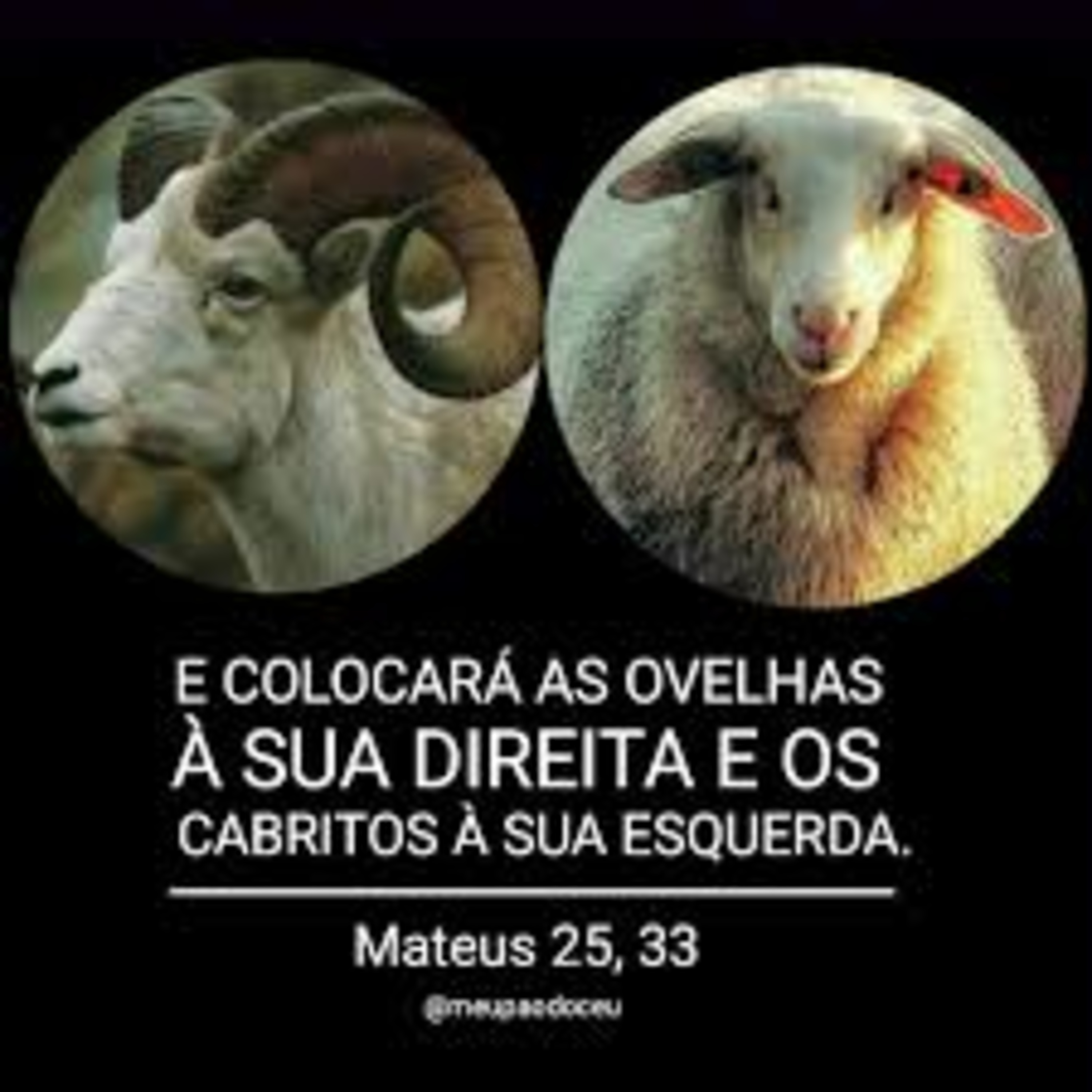 João 3:16