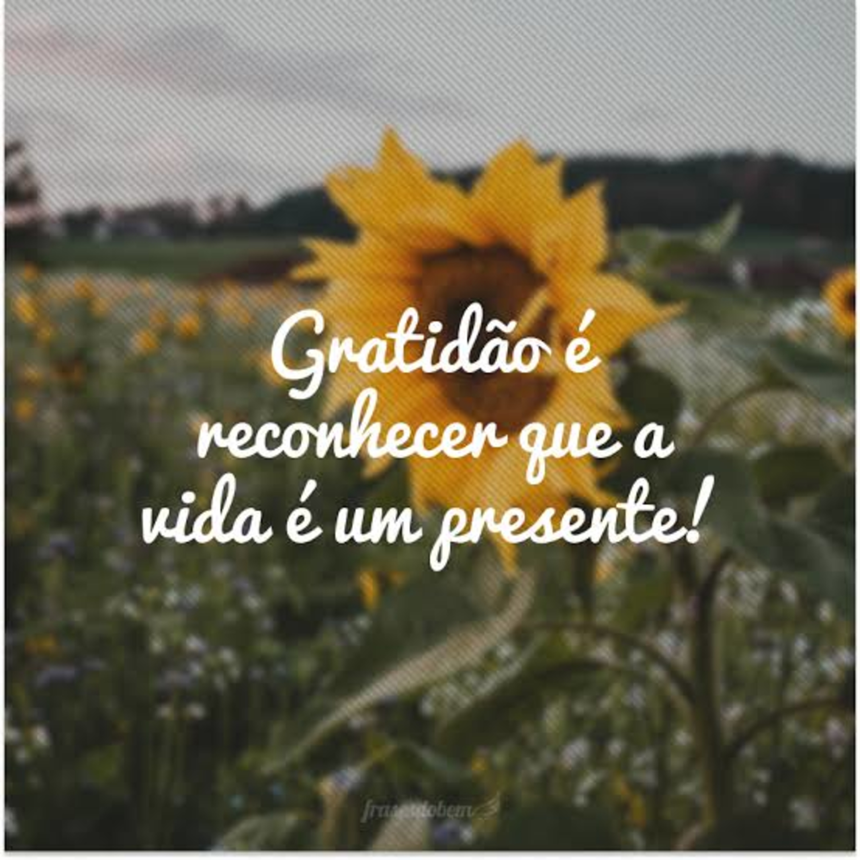 João 3:16