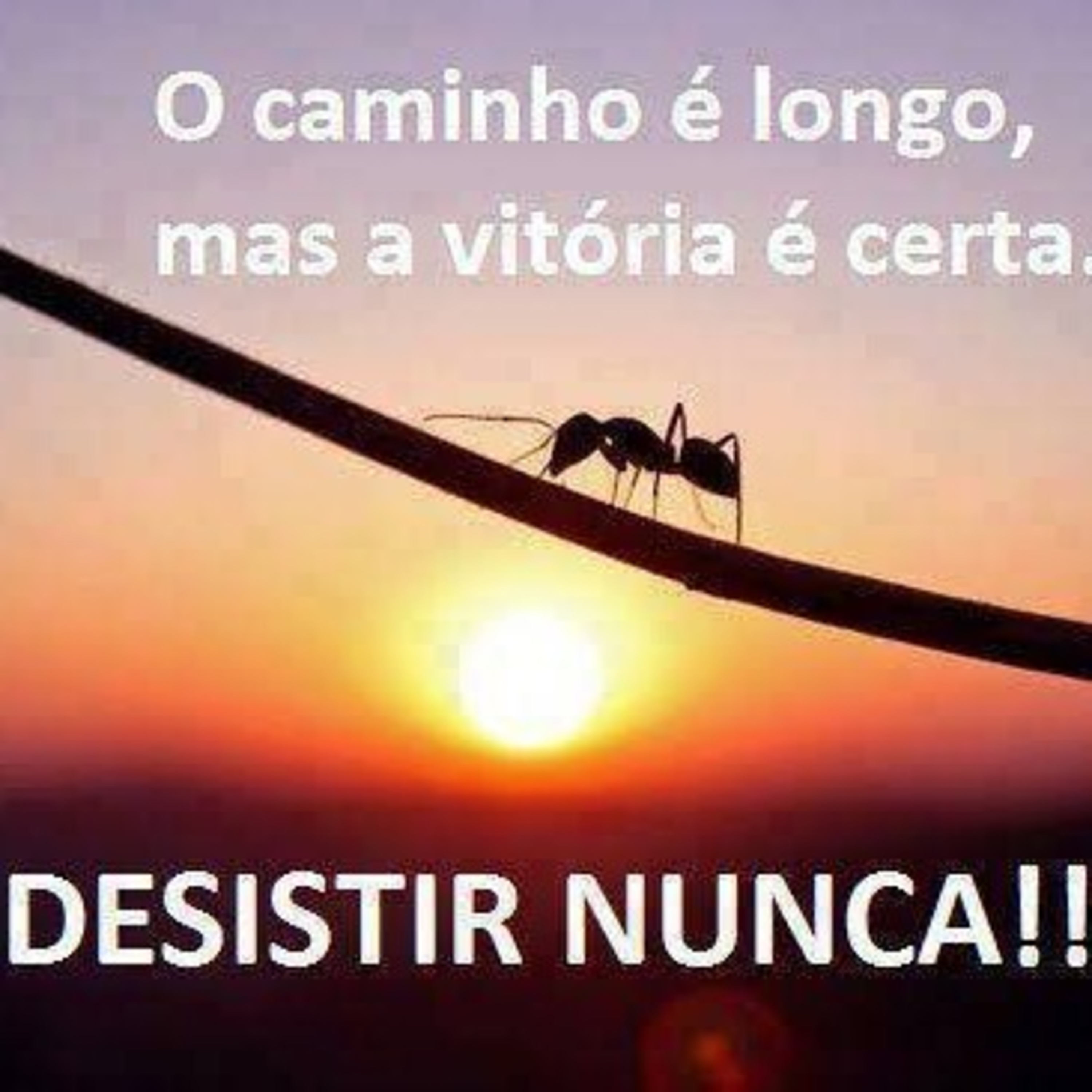 João 3:16