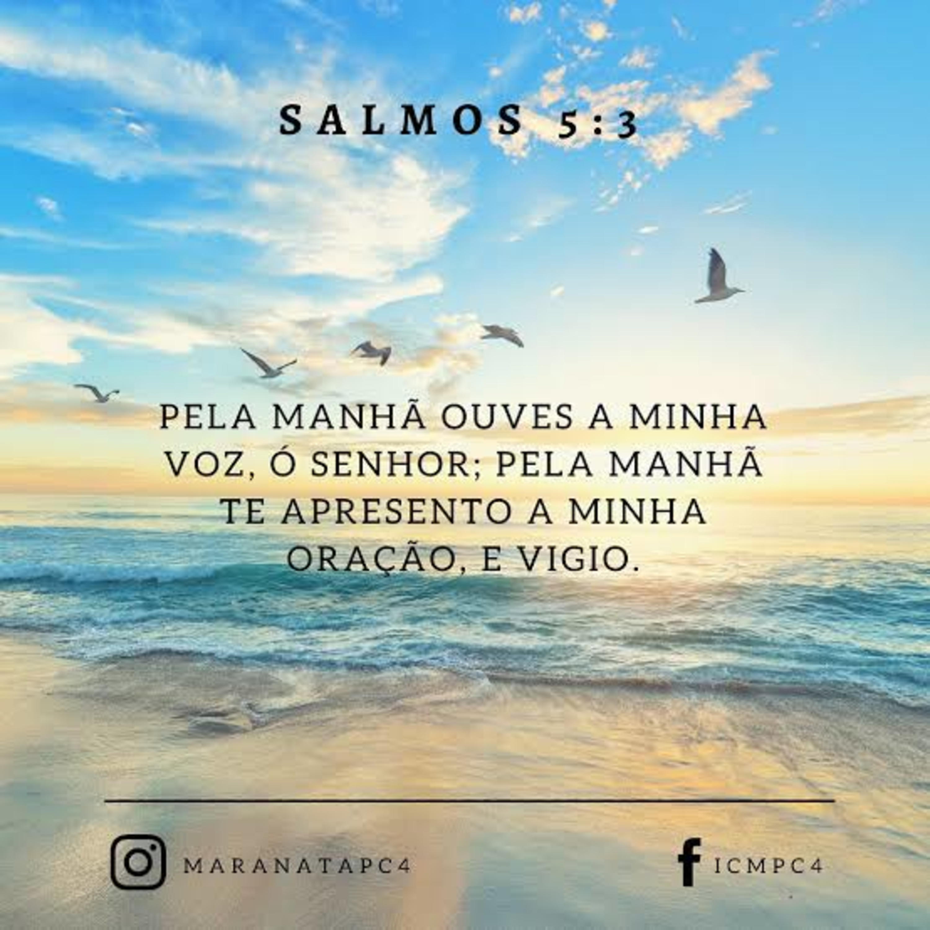 João 3:16
