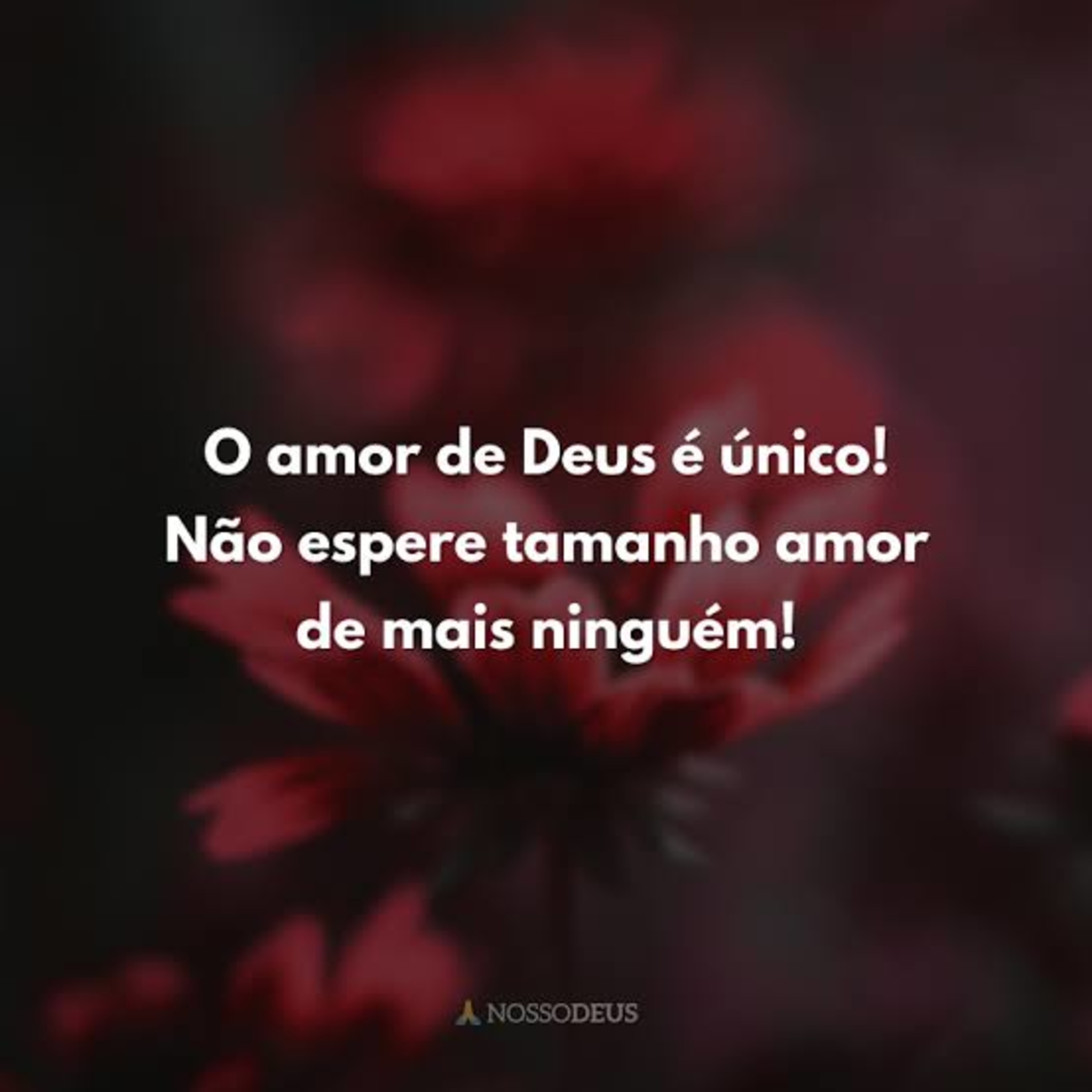 O amor de Deus. episode artwork