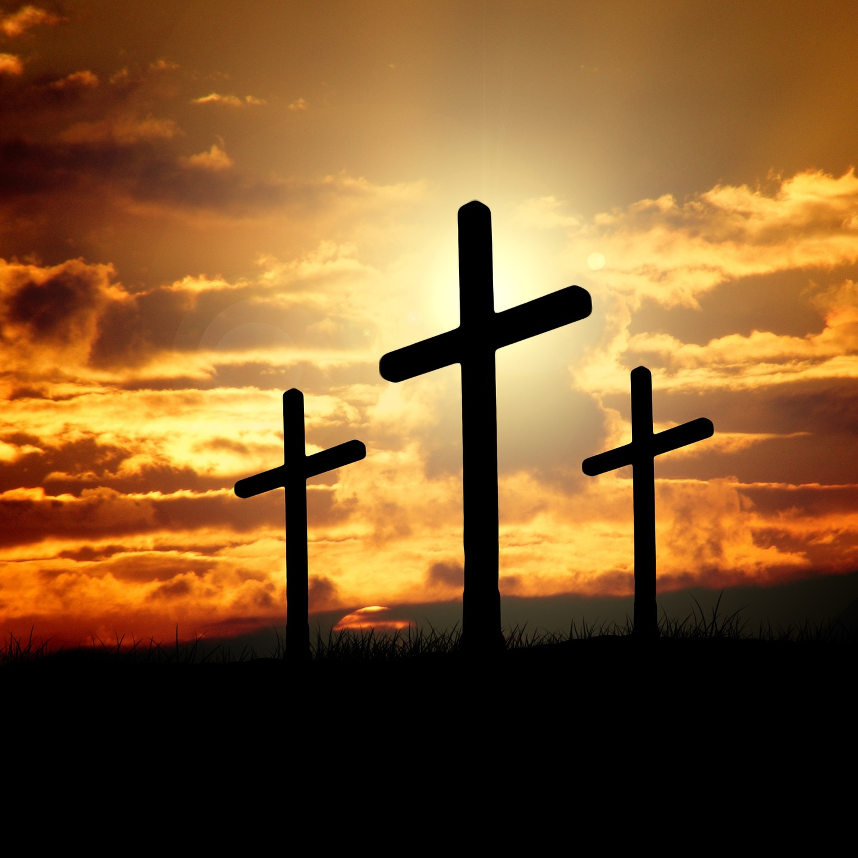 Growing In Grace
