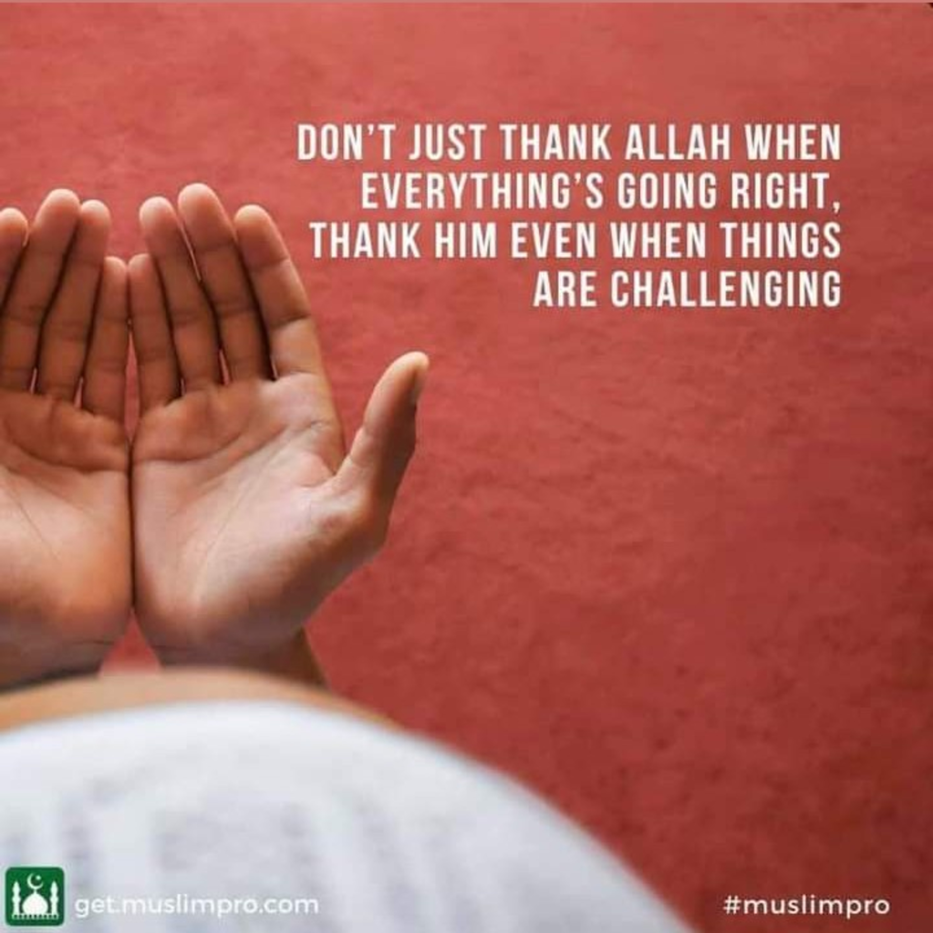 Thank Allah, always! episode artwork