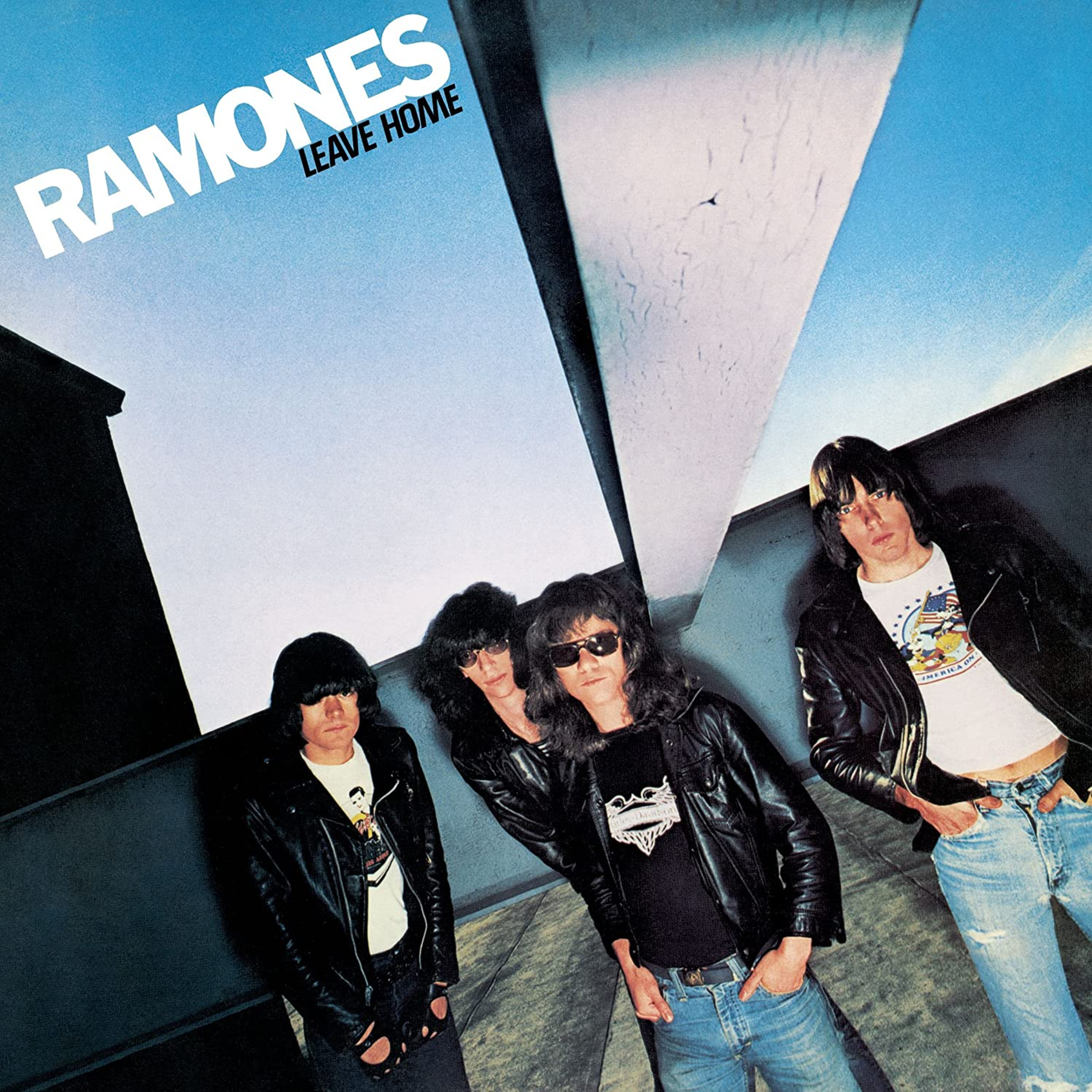 Ramones Fans Cast