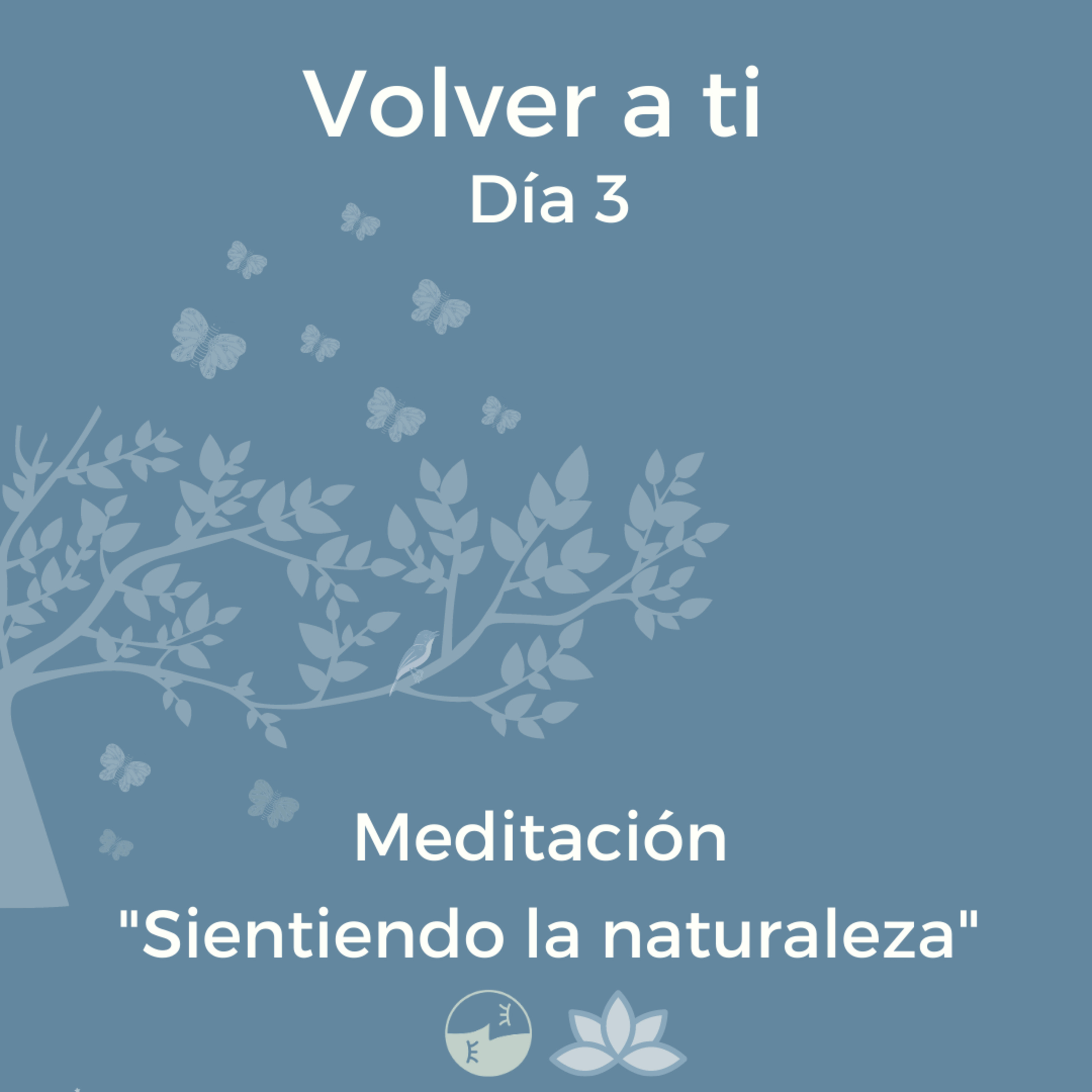 Volver a ti - Día 3 - Sintiendo la naturaleza