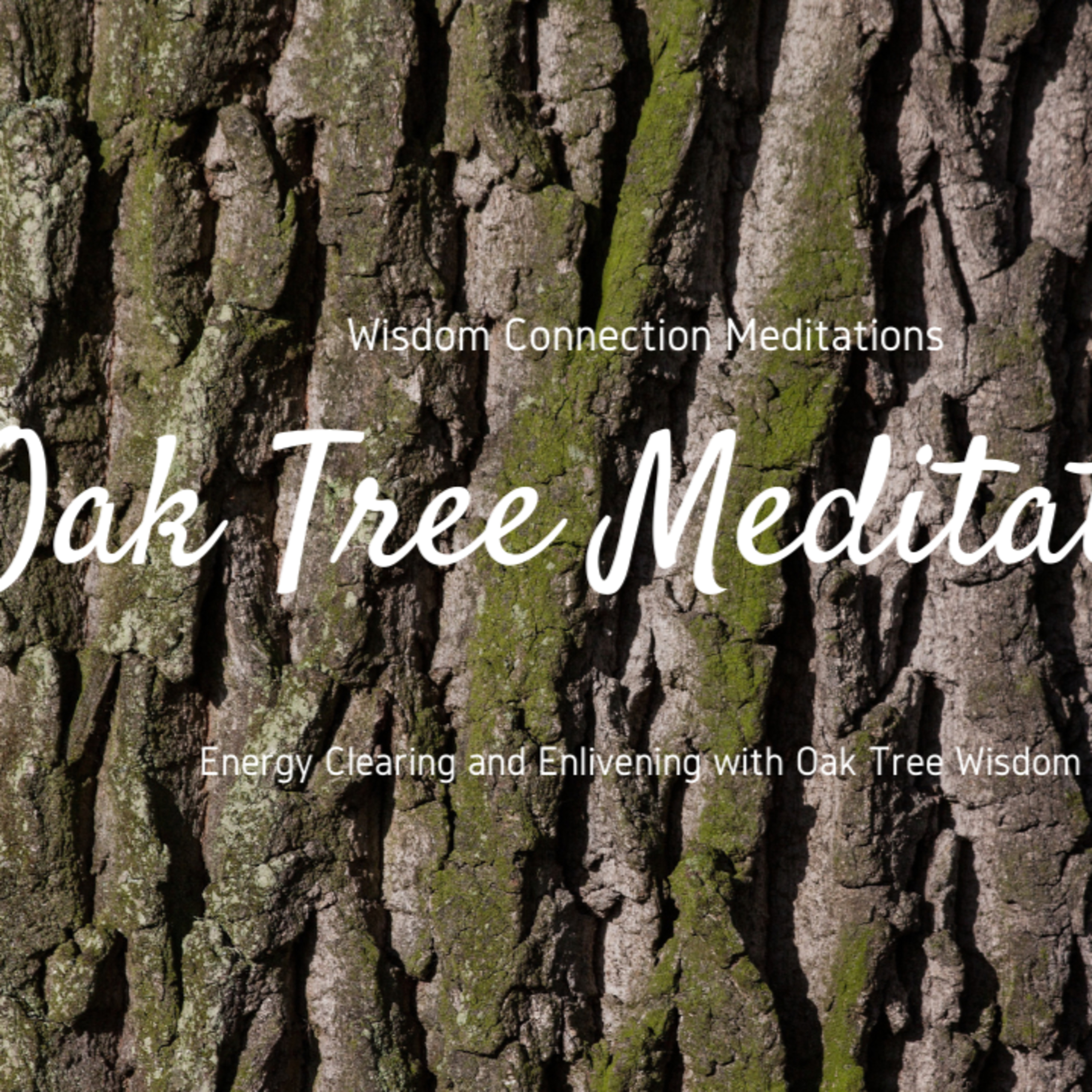 Inner Wisdom Connection Meditations