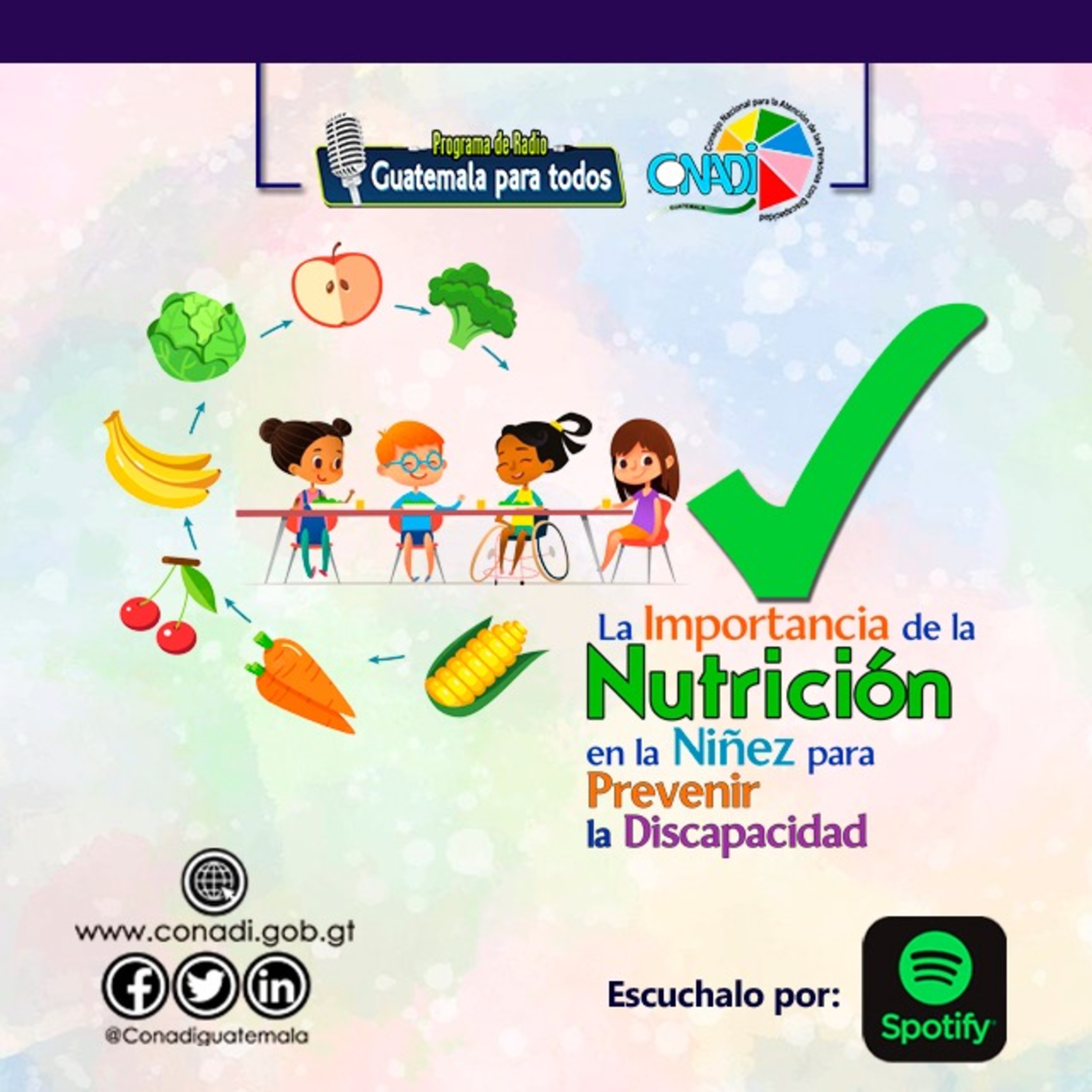La Importancia de la Nutrición en la Niñez para prevenir la discapacidad episode artwork