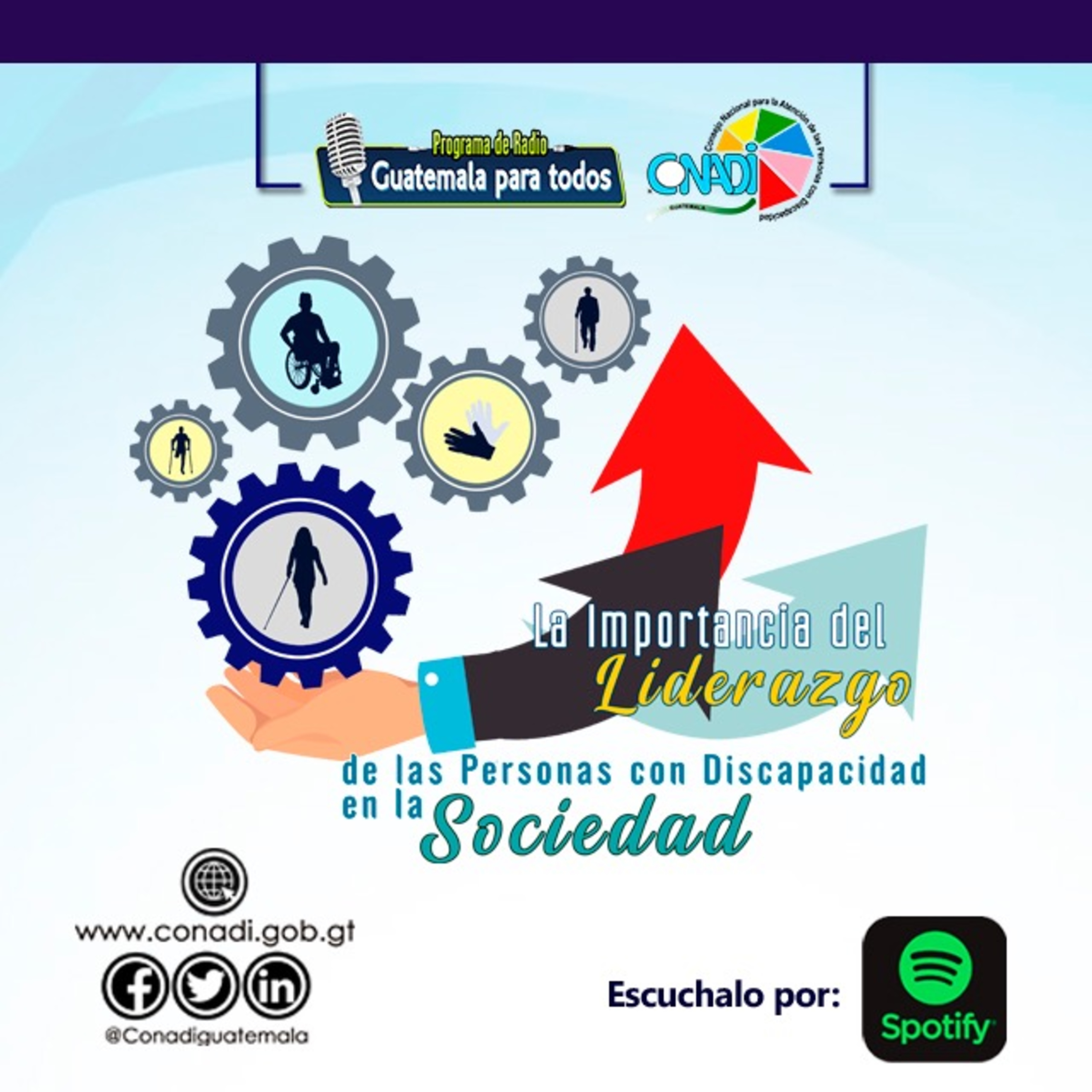 "La Importancia del Liderazgo de las personas con discapacidad en la sociedad" episode artwork