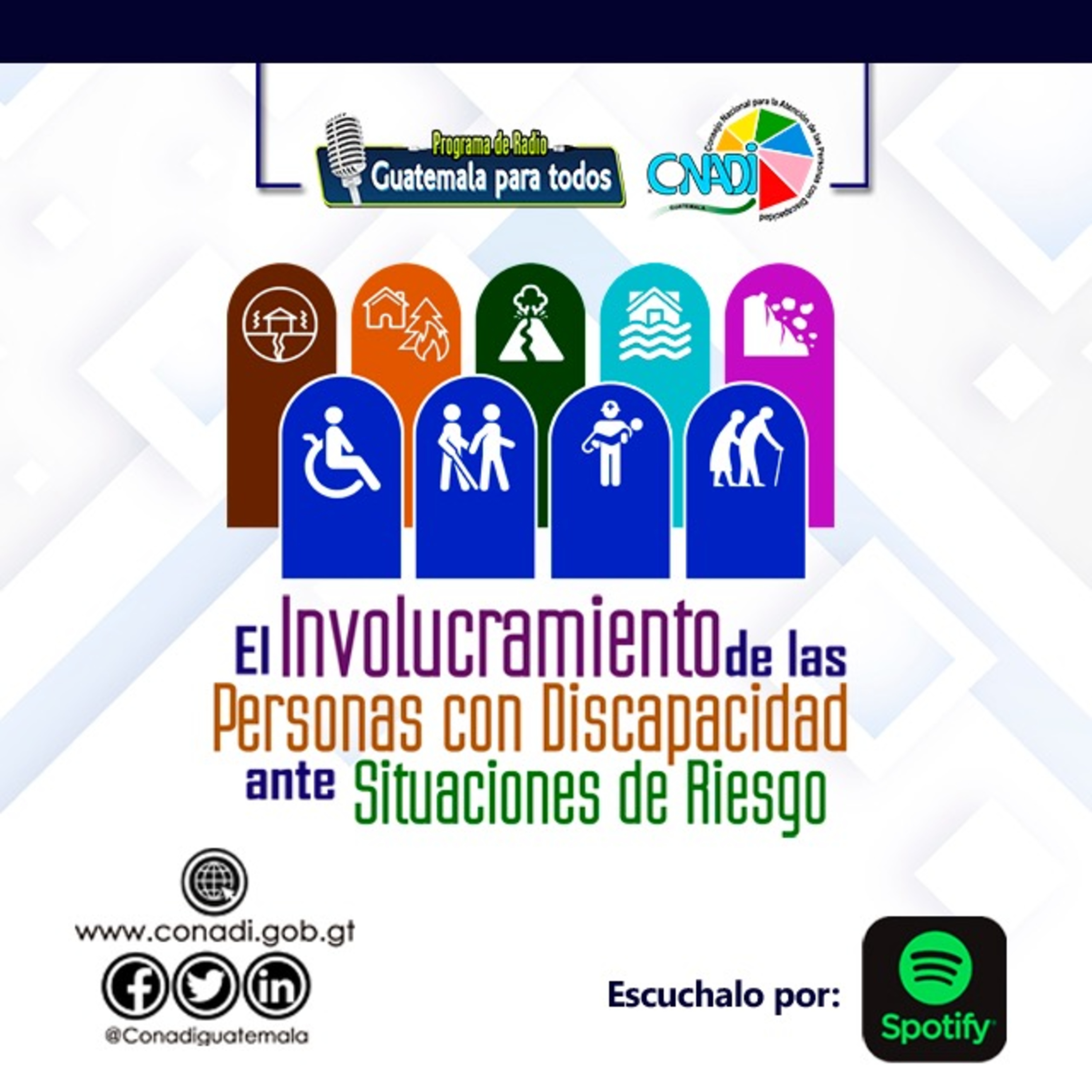 "El Involucramiento de las personas con discapacidad ante situaciones de riesgo". episode artwork