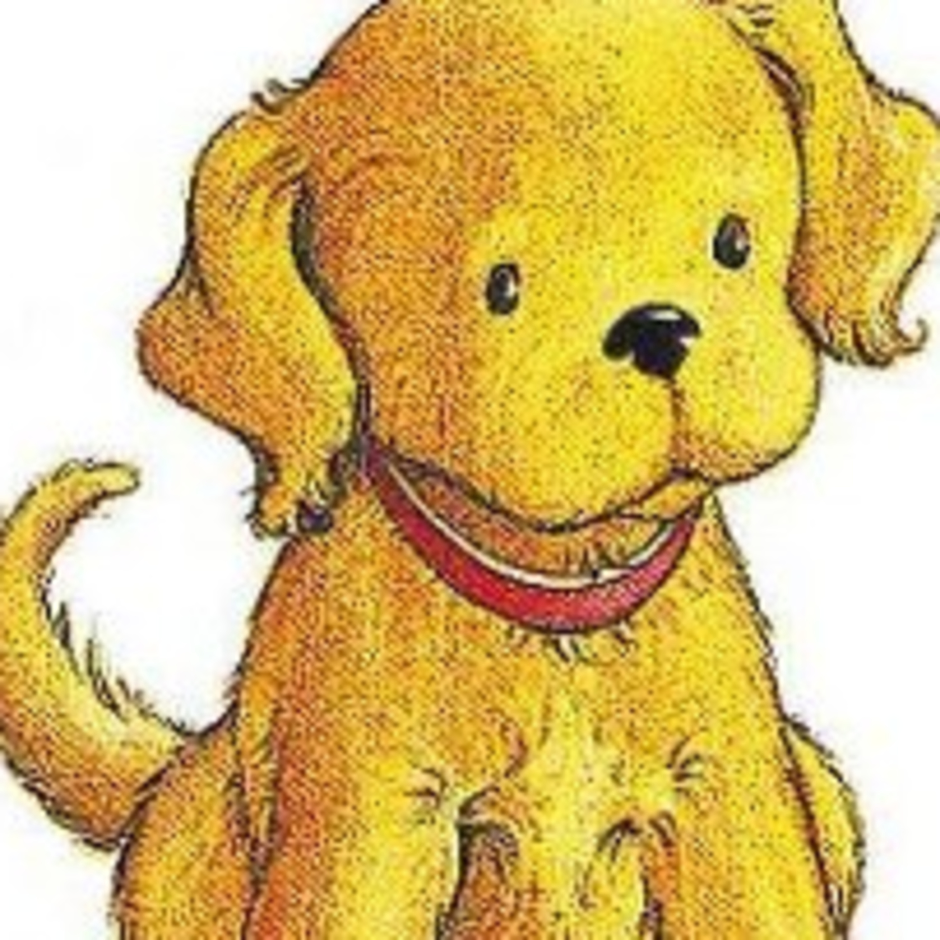 Las aventuras de Daniel y Max, los beneficios de tener un perro