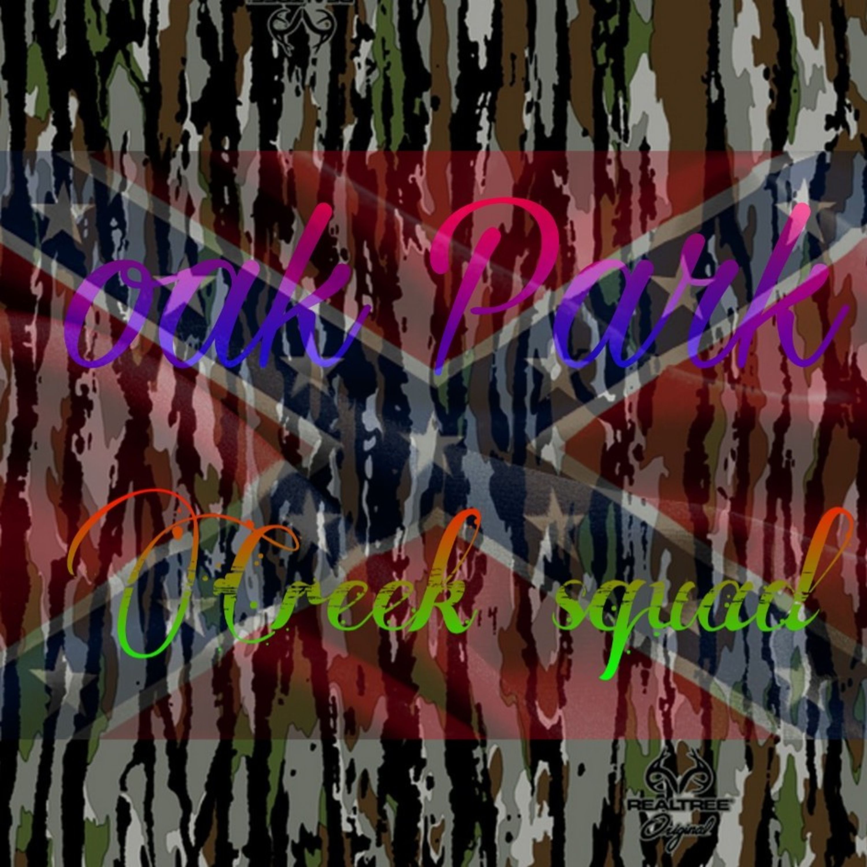 Oak Park episode artwork