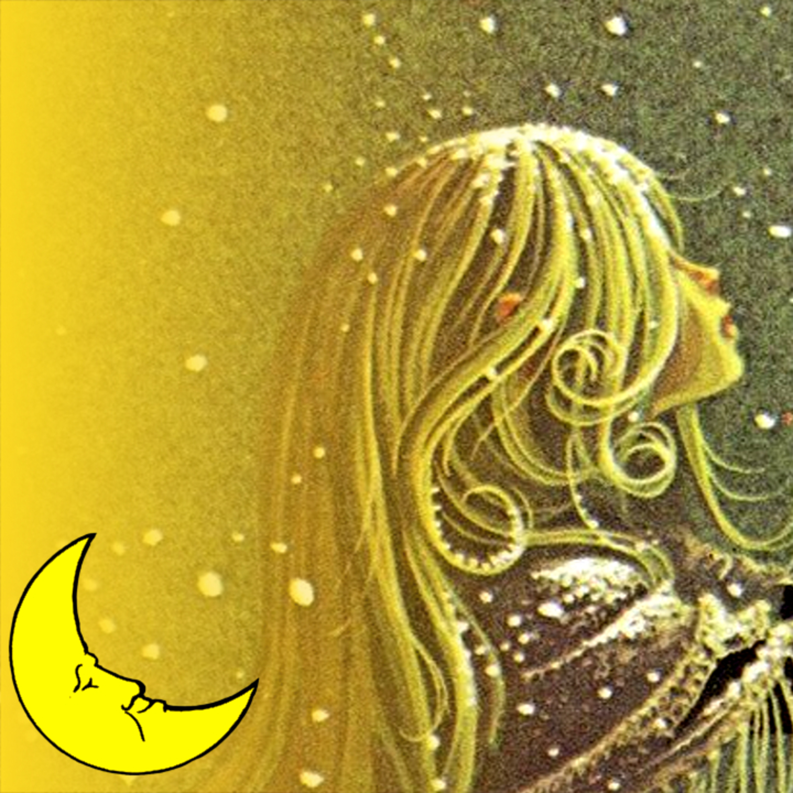 Serenissima Notte