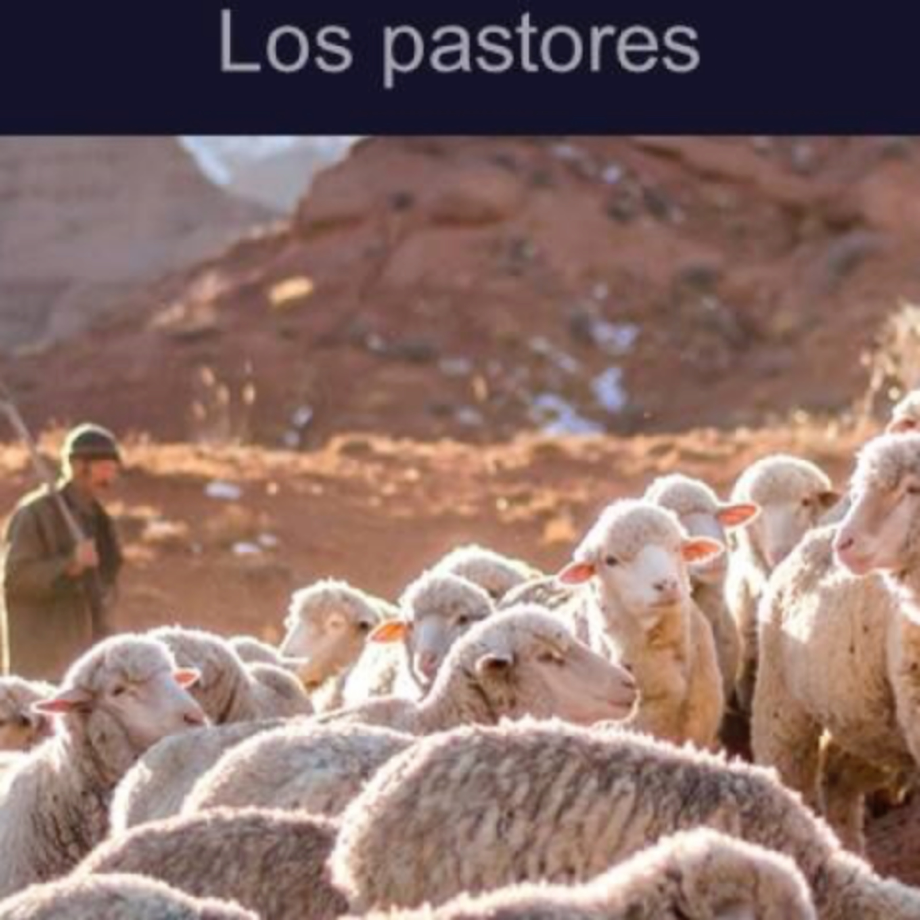 Iglesia Bautista Biblica
