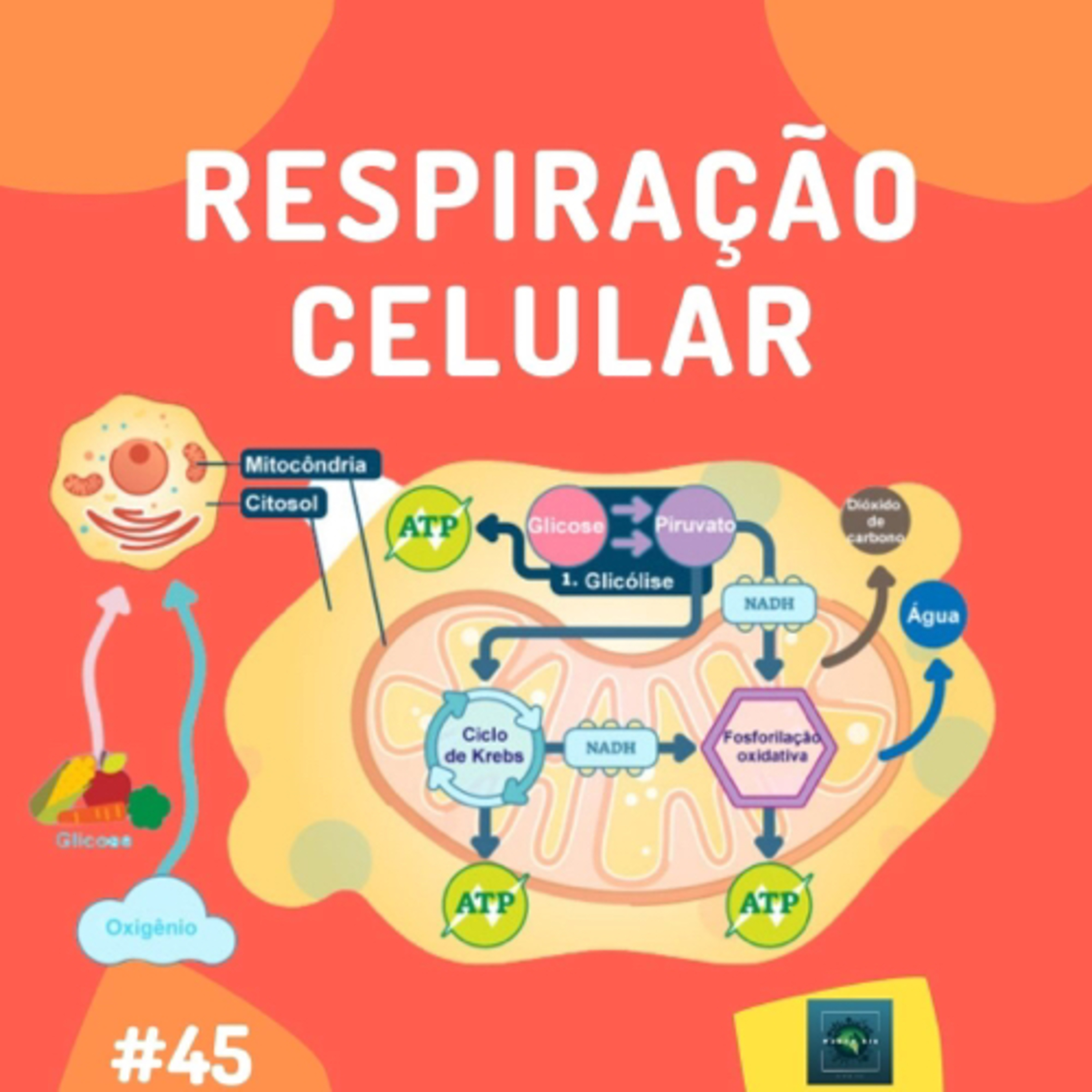 Mundo BIO 🌎 Podcast