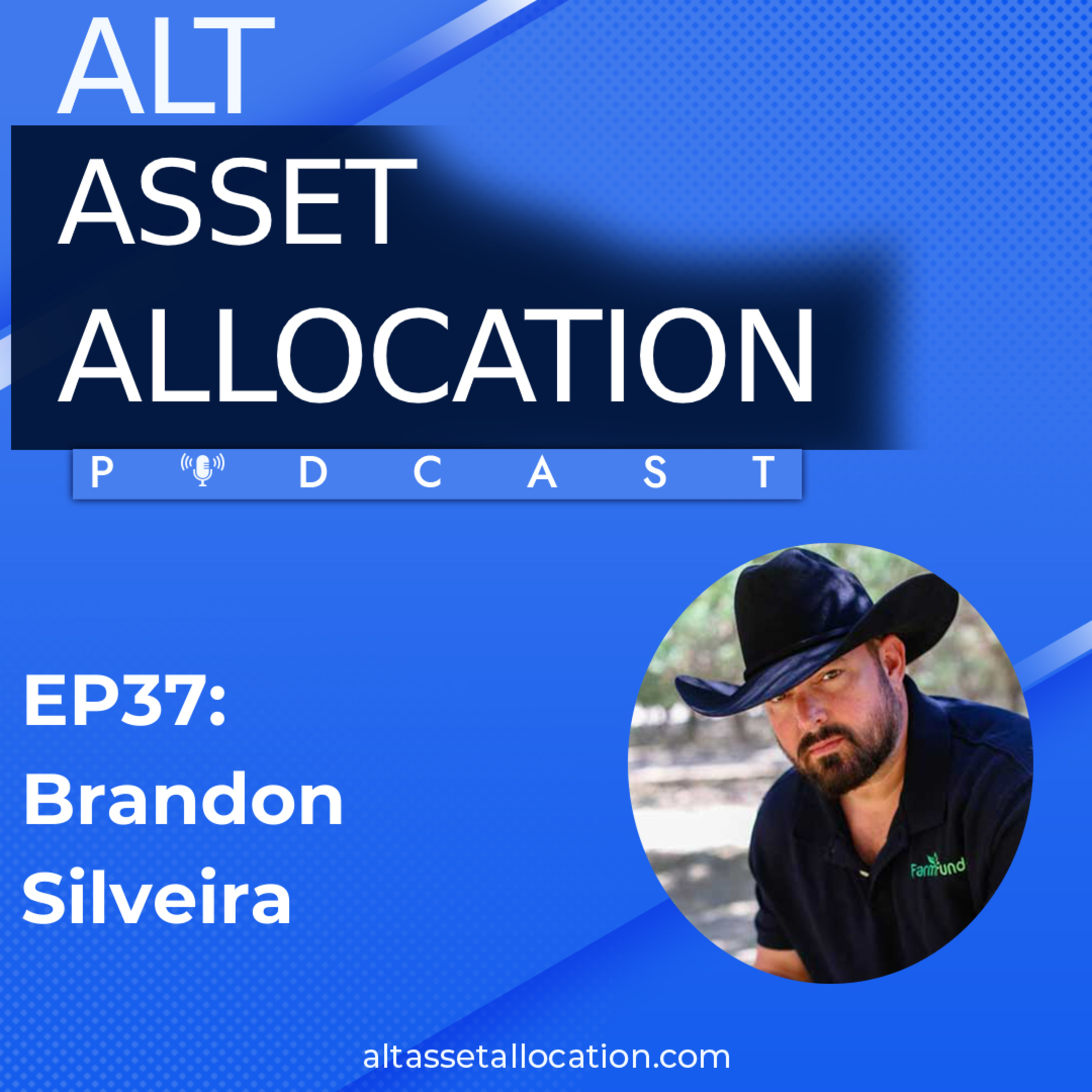 The Alt Asset Allocation Podcast