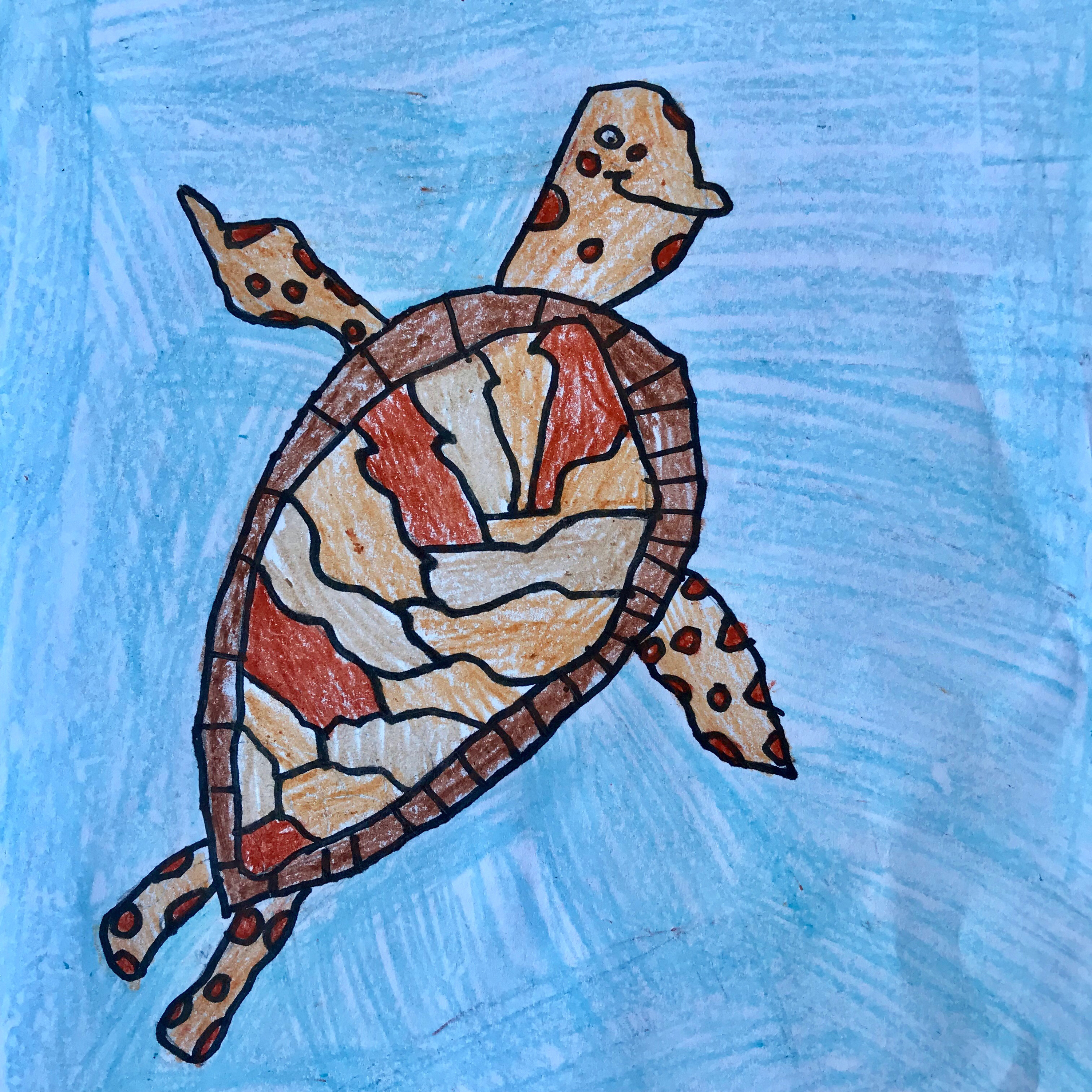 Episode 2: Sea Turtles