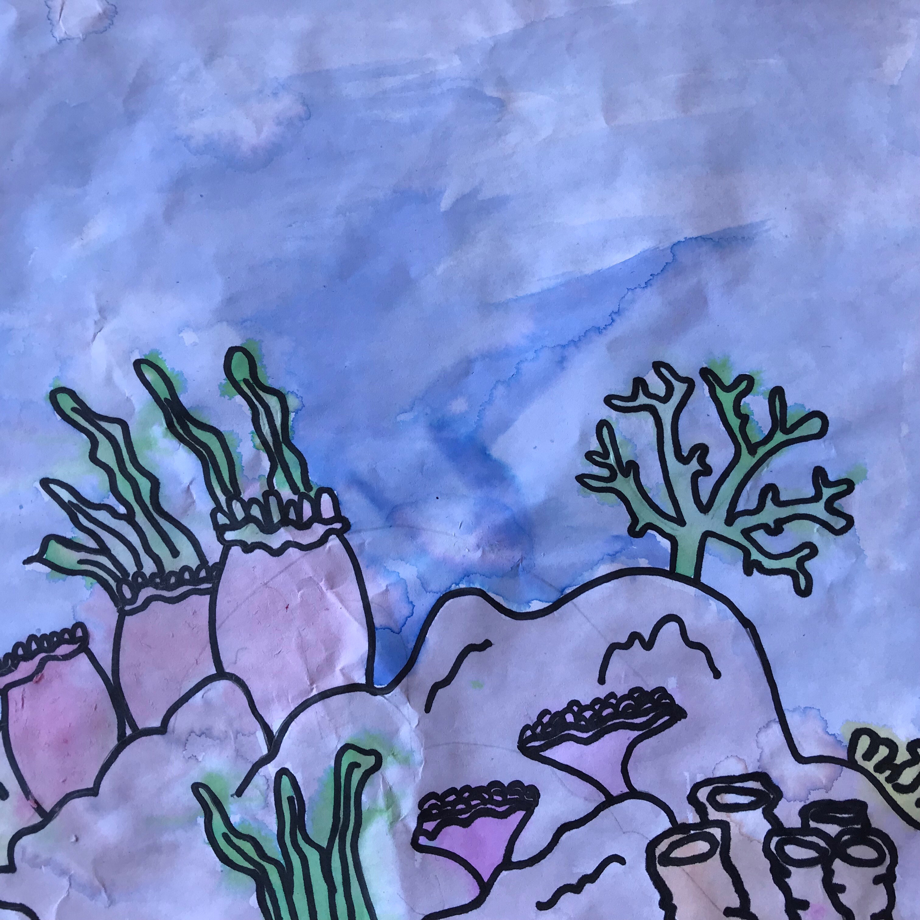 Episode 3: Coral Reefs