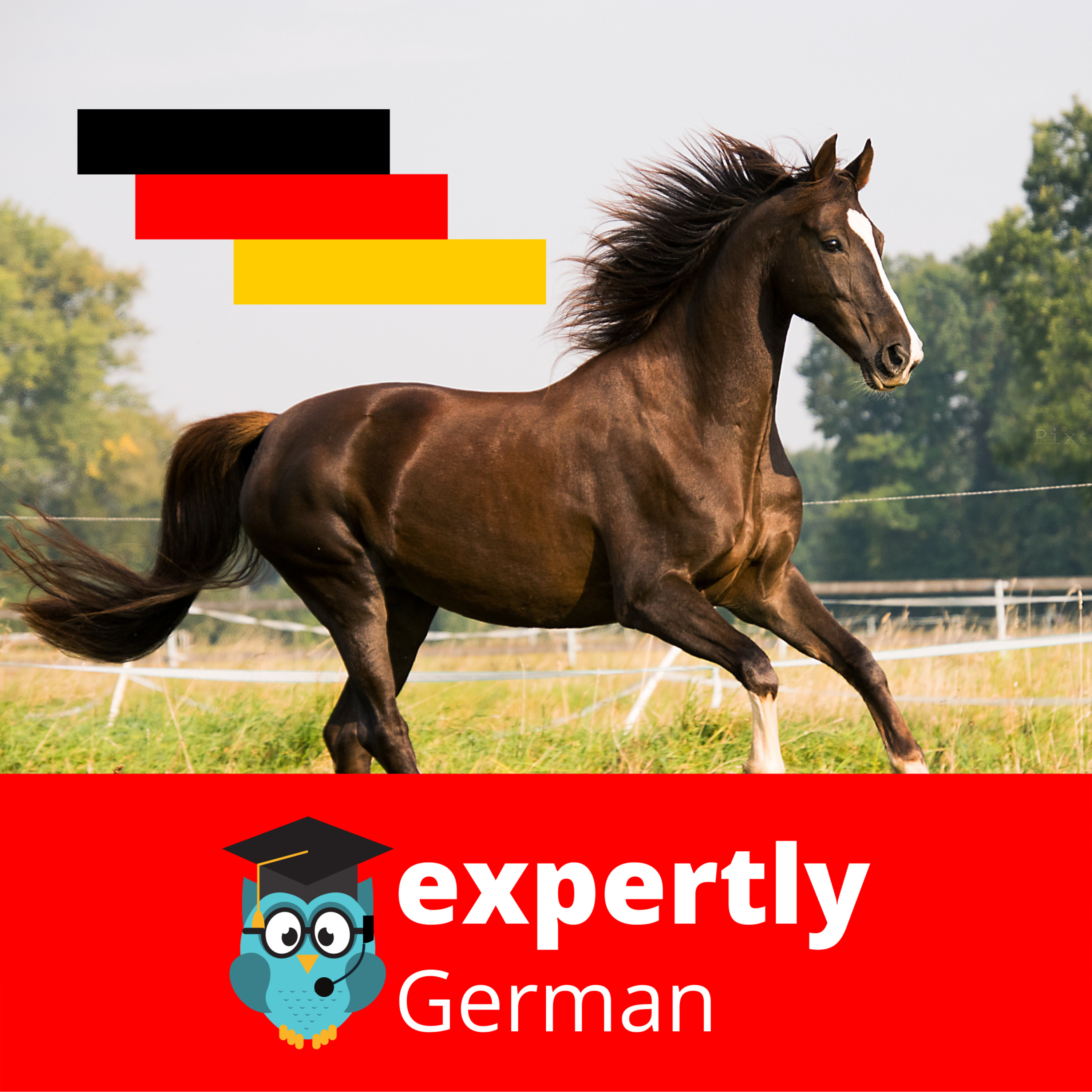 Learn German | Deutsch lernen | ExpertlyGerman Podcast