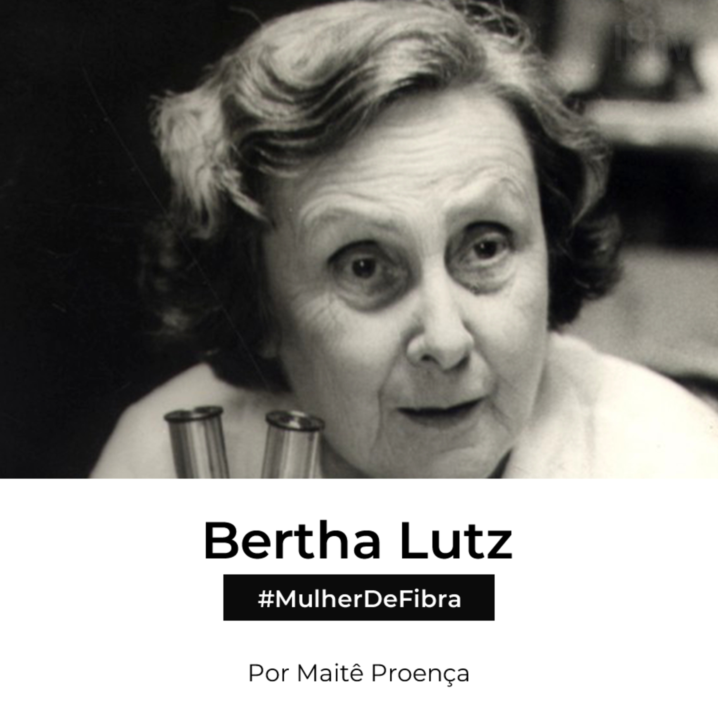 #MulherDeFibra