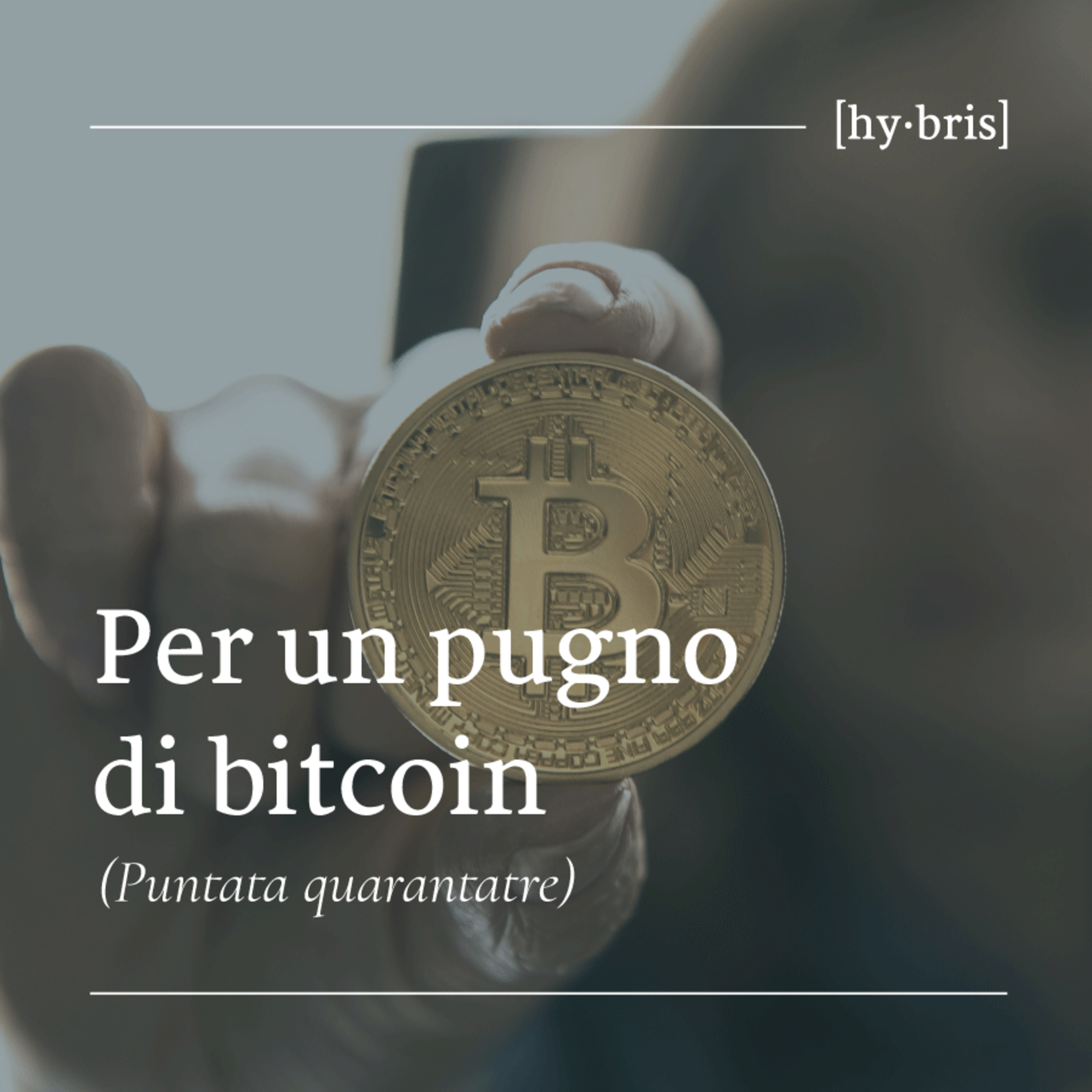 [43] Per un pugno di bitcoin