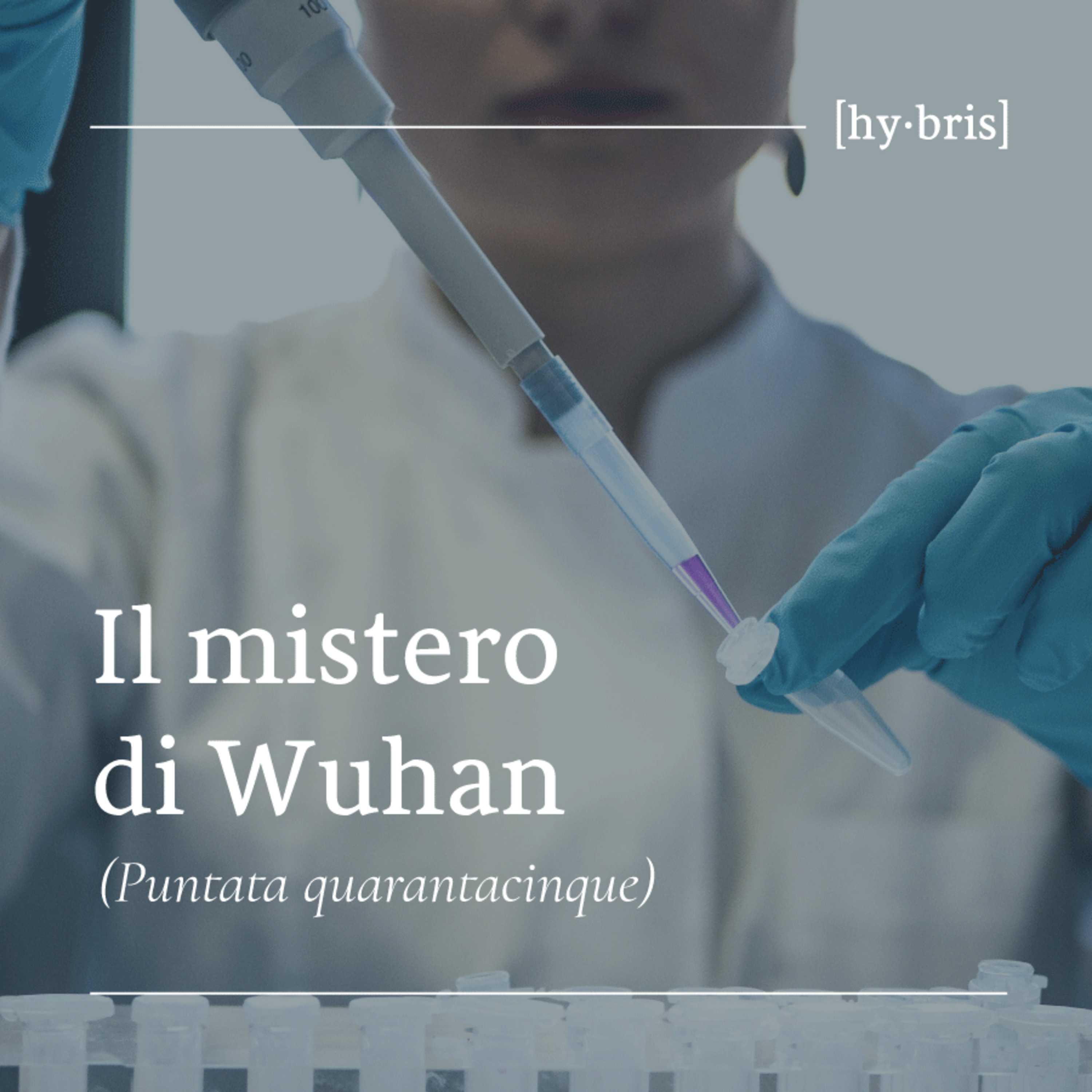 [45] Il mistero di Wuhan