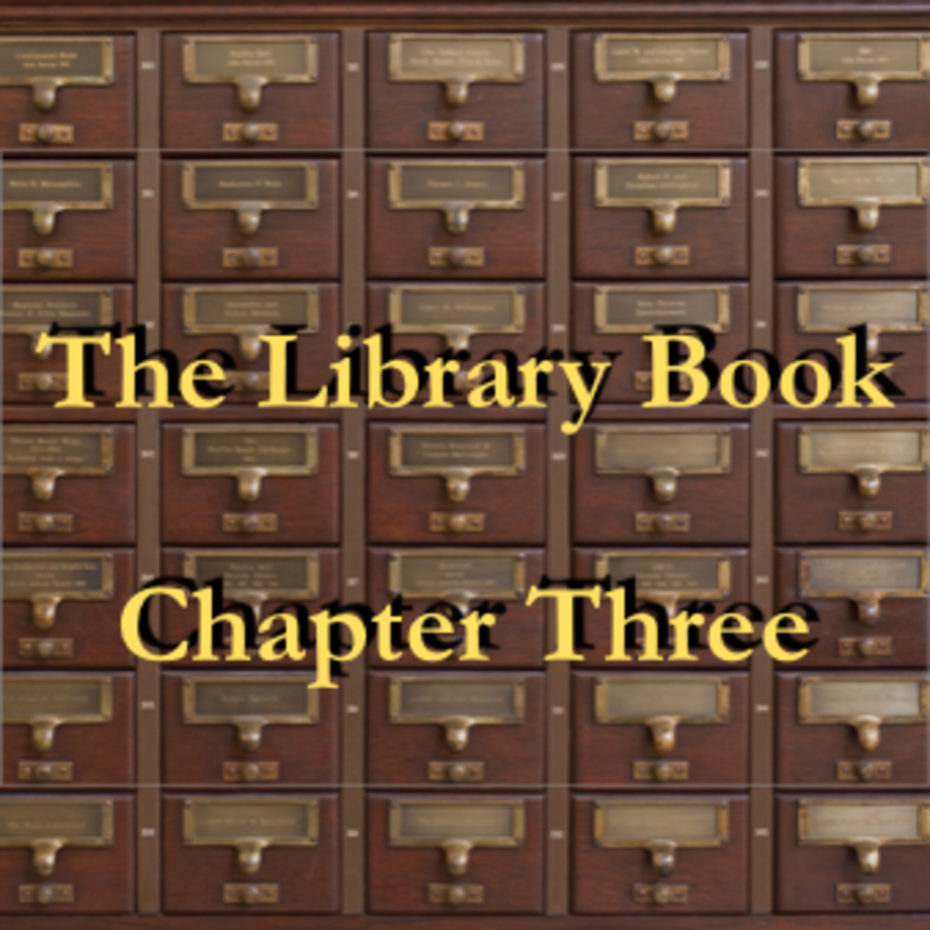 Akita - Chapter Three