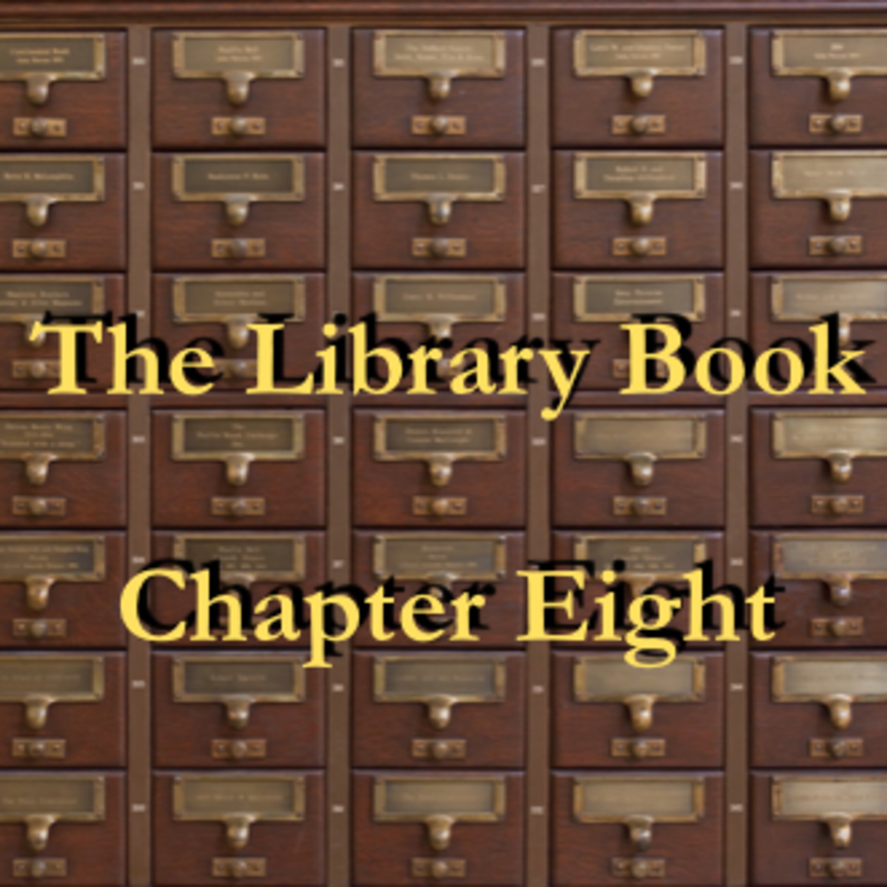 The Wandering Librarian - Chapter Eight
