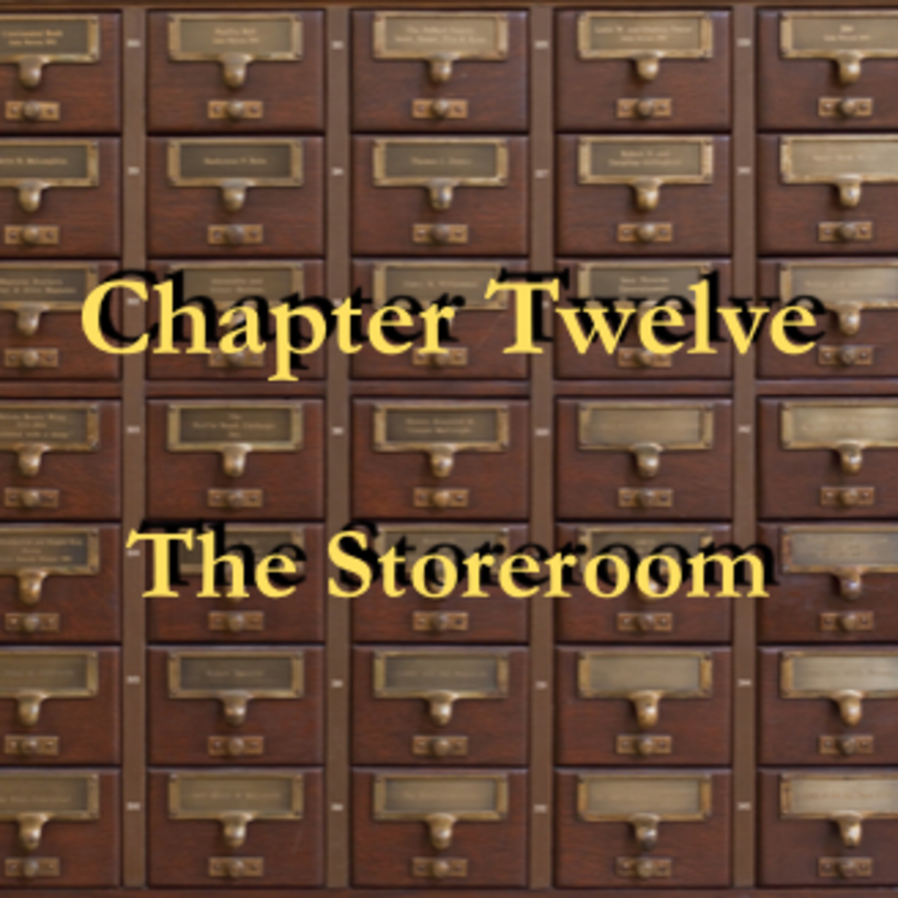 The Storeroom - Chapter Twelve