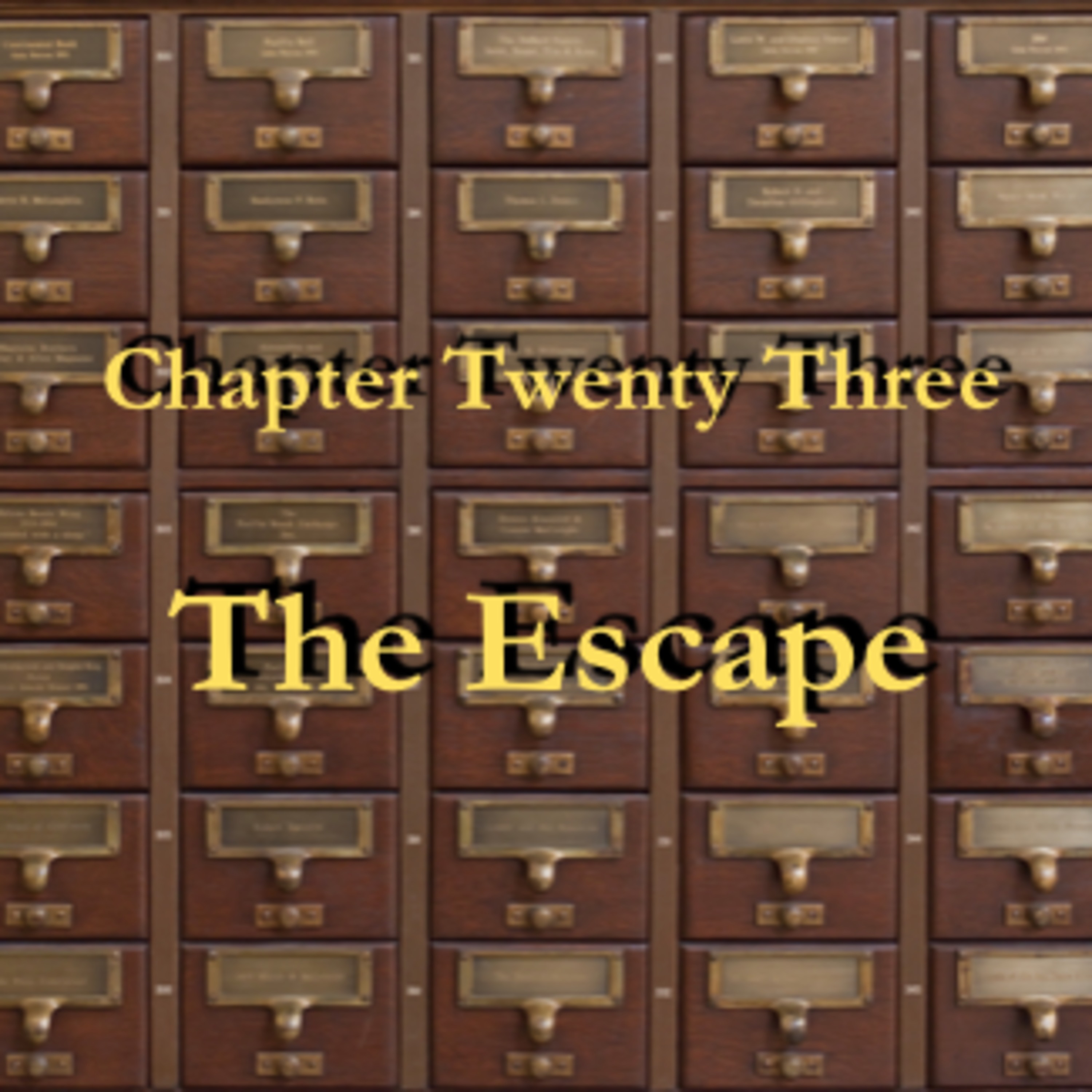The Escape - Chapter Twenty Three