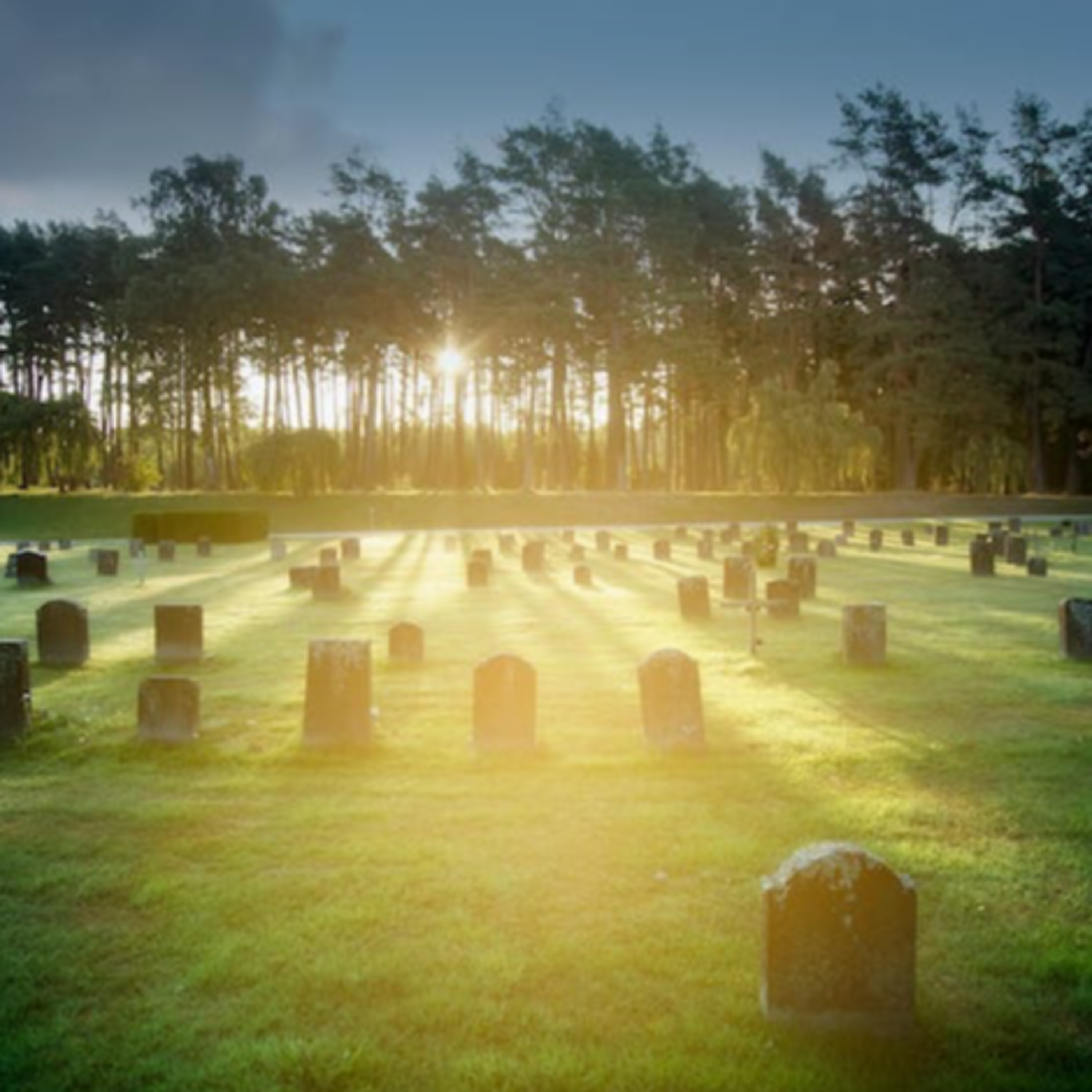 All Souls Day: Our Responsibility for those in Purgatory