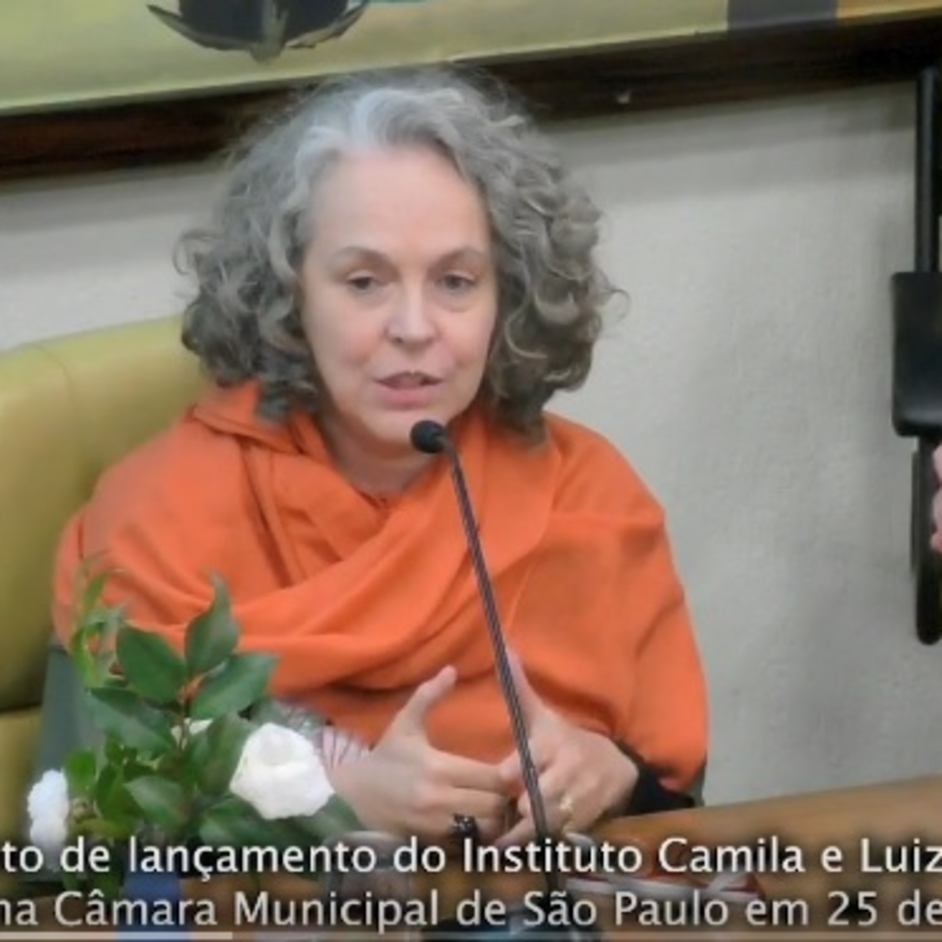Instituto Camila e Luiz Taliberti