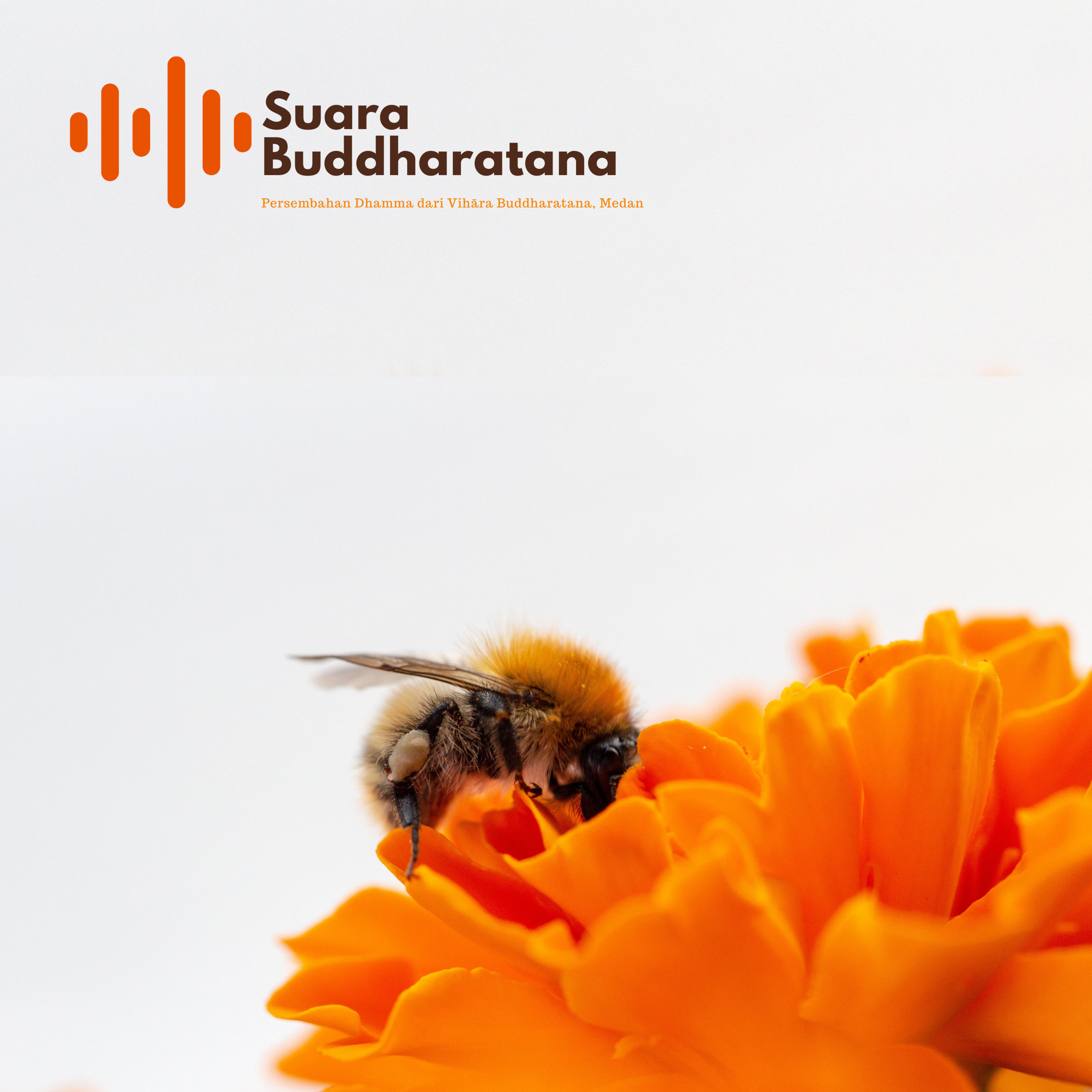 Suara Buddharatana