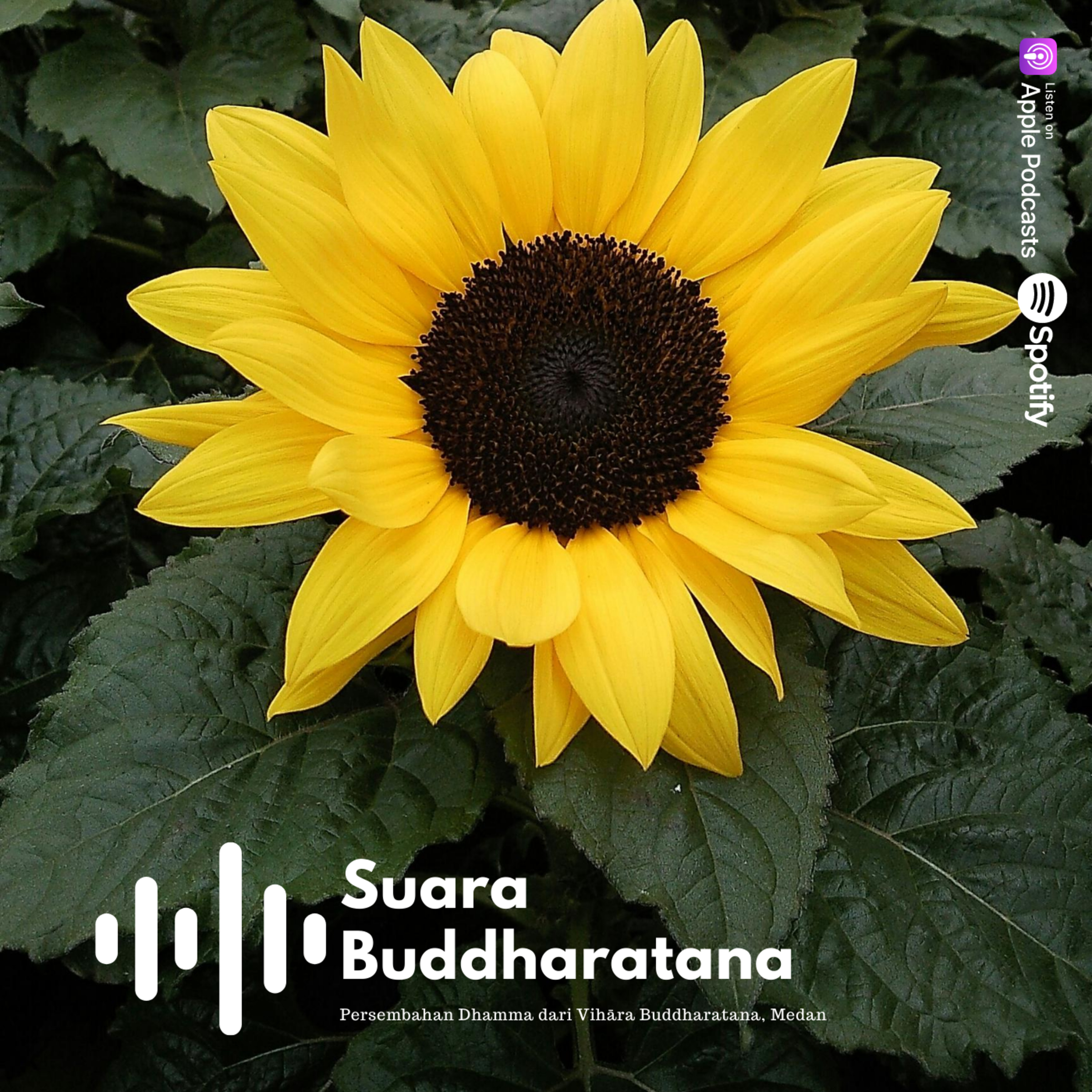 Suara Buddharatana