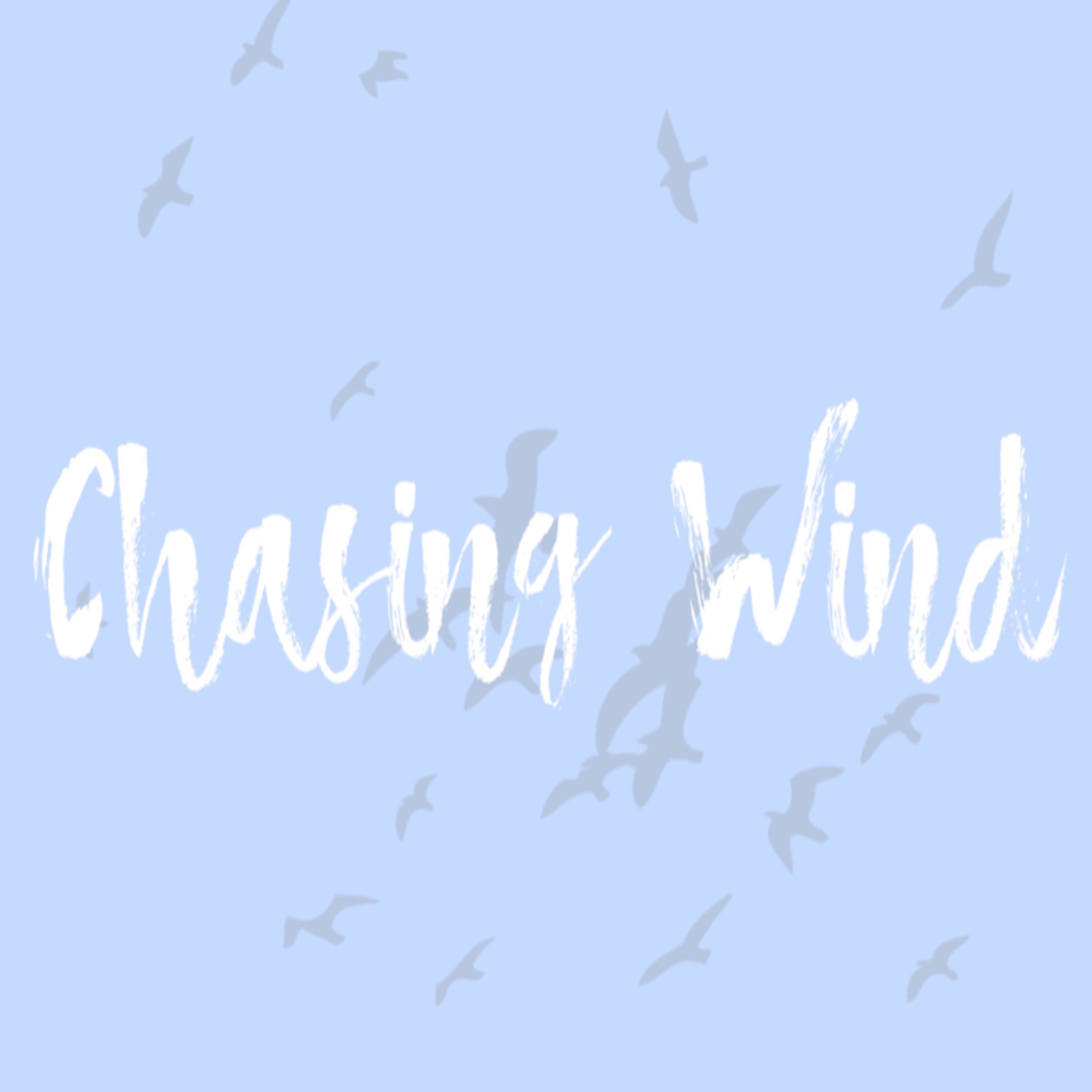 Chasing Wind Episode 9 episode artwork