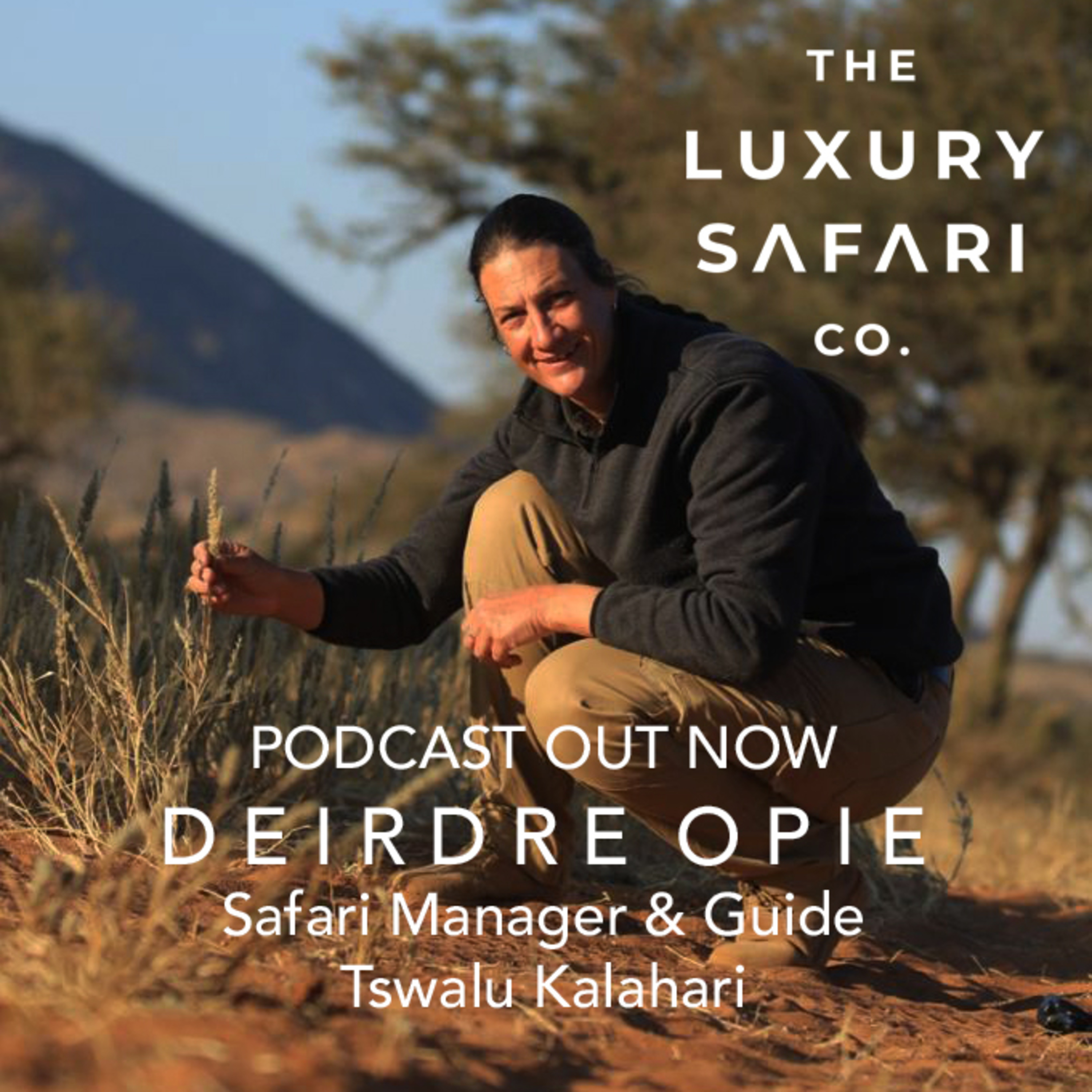 Talking Bush, Safaris & Luxury Travel