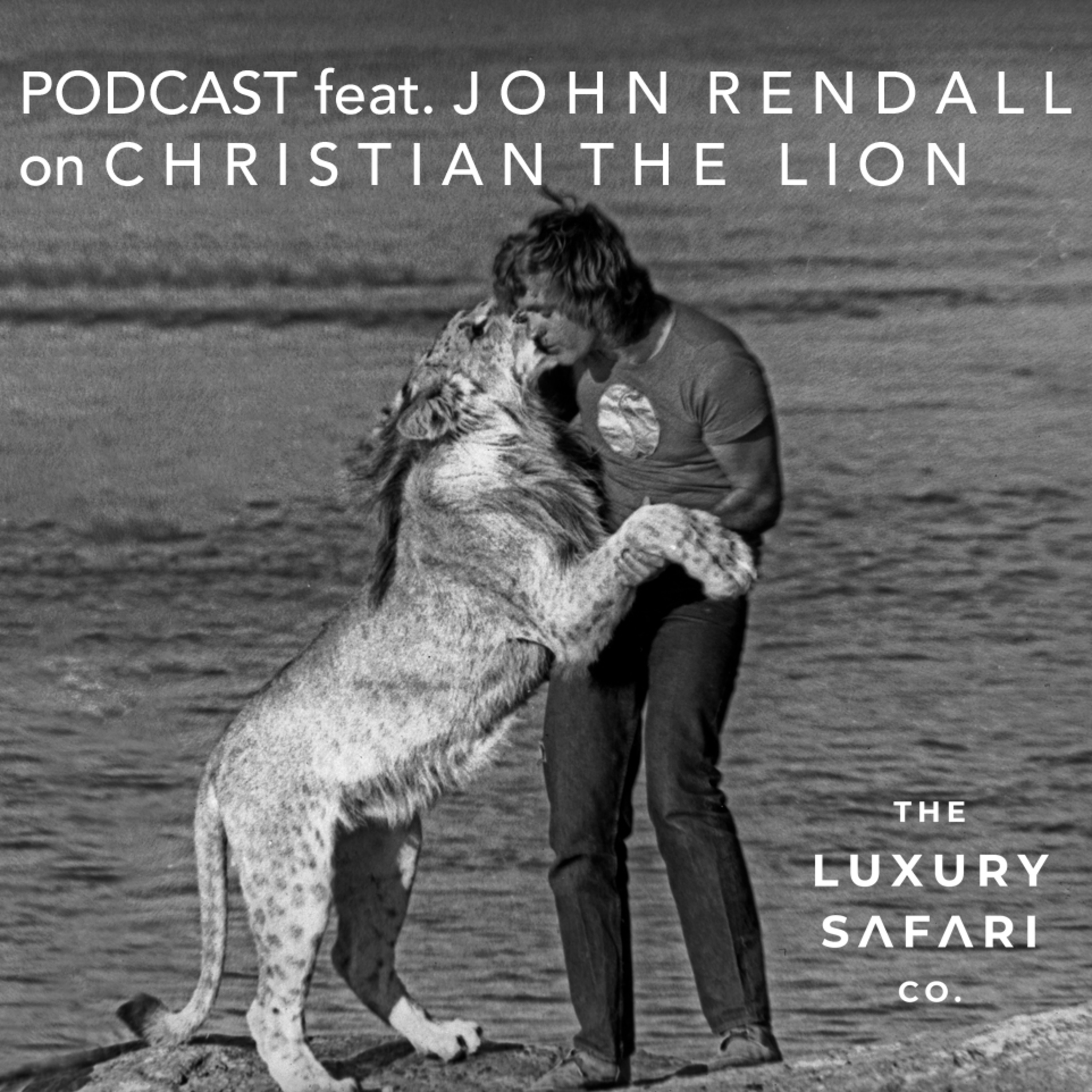 Talking Bush, Safaris & Luxury Travel