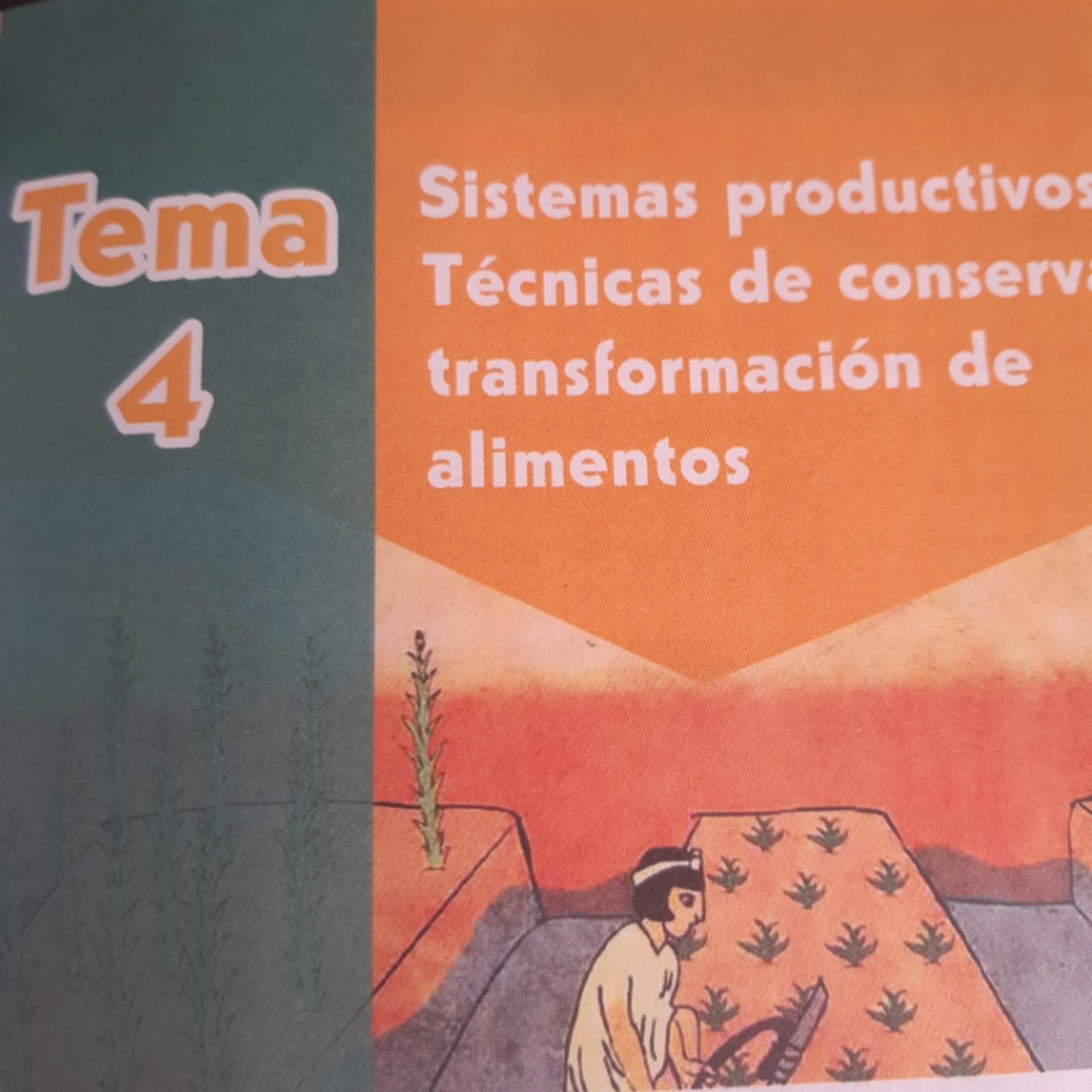 Politicas De Clase