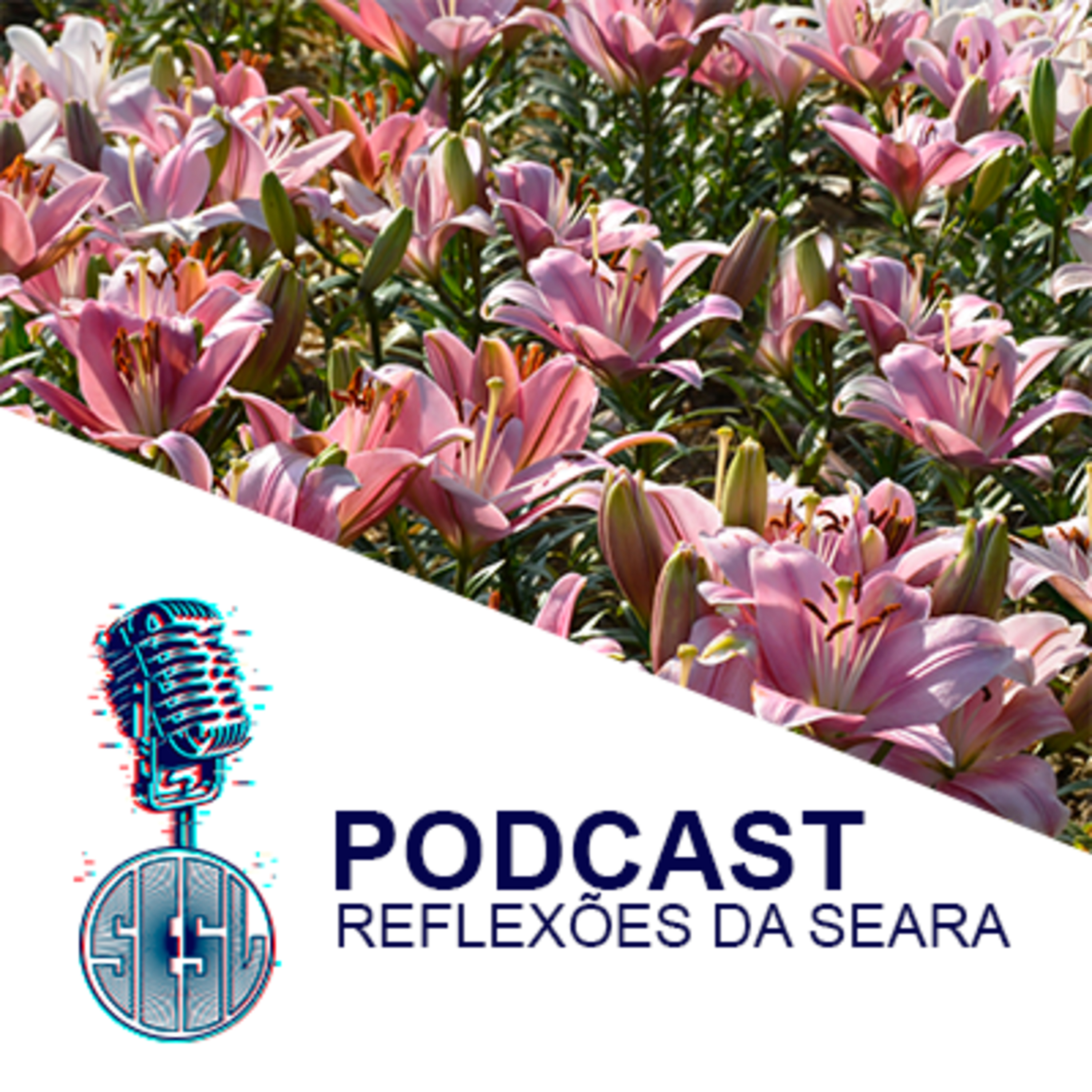 Reflexões da Seara