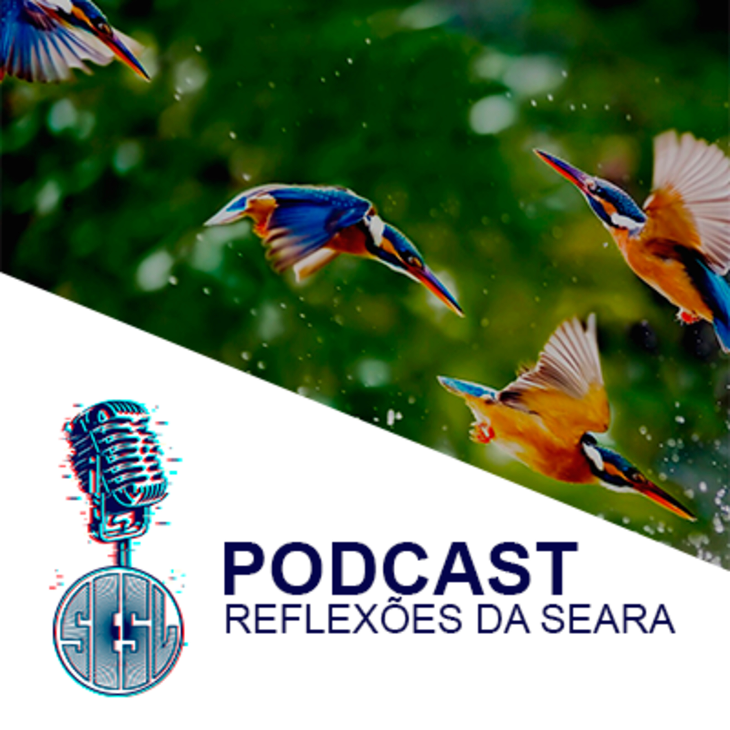 Reflexões da Seara