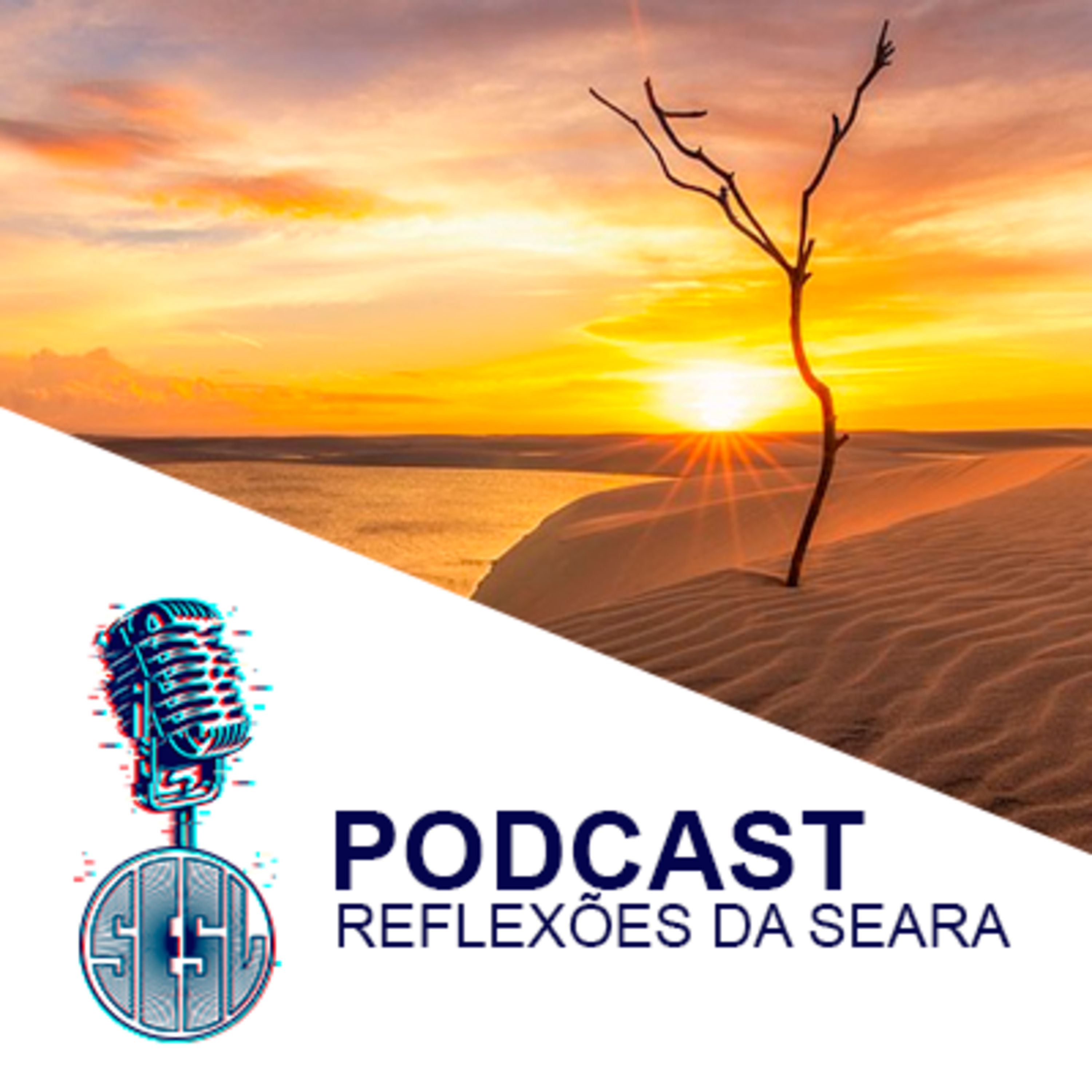 Reflexões da Seara