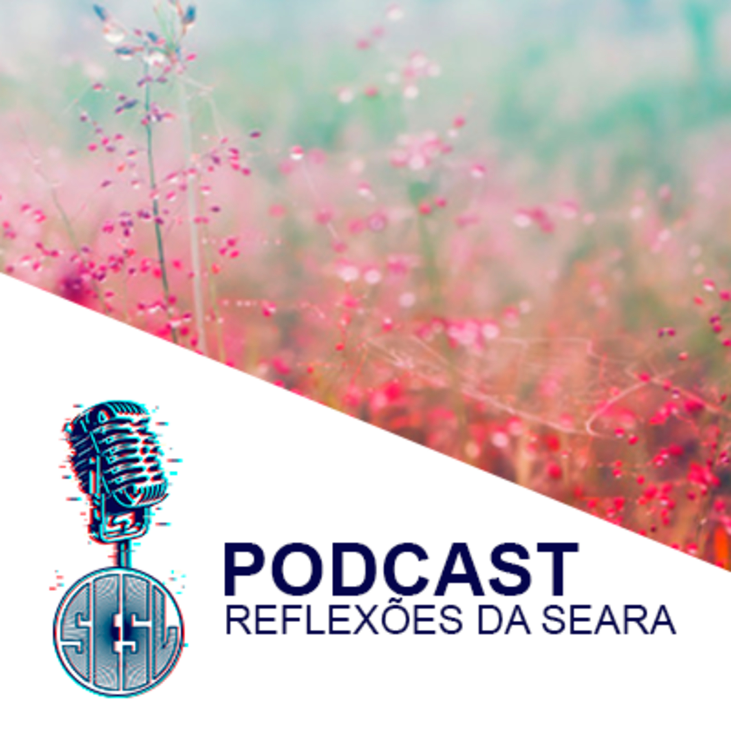 Reflexões da Seara
