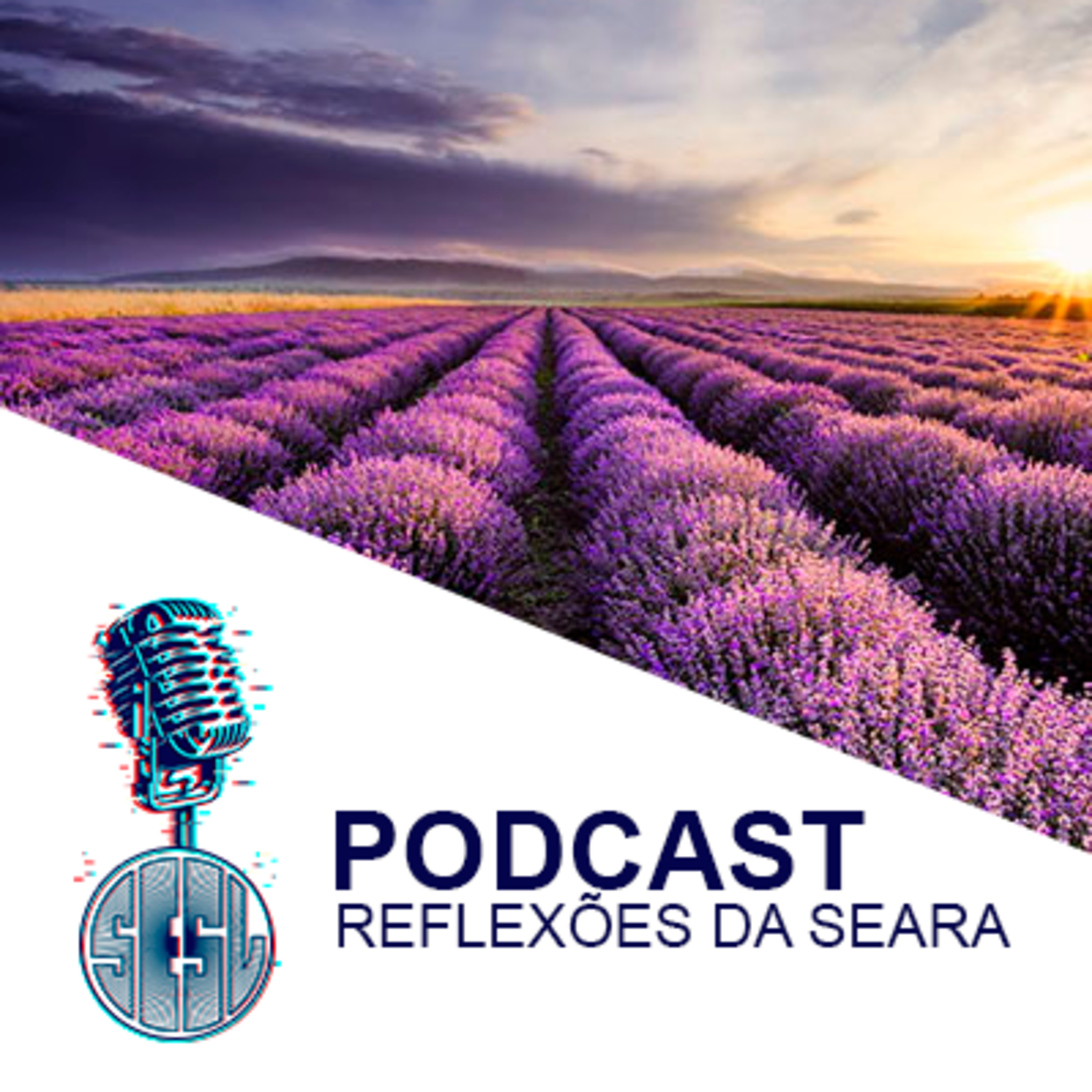 Reflexões da Seara