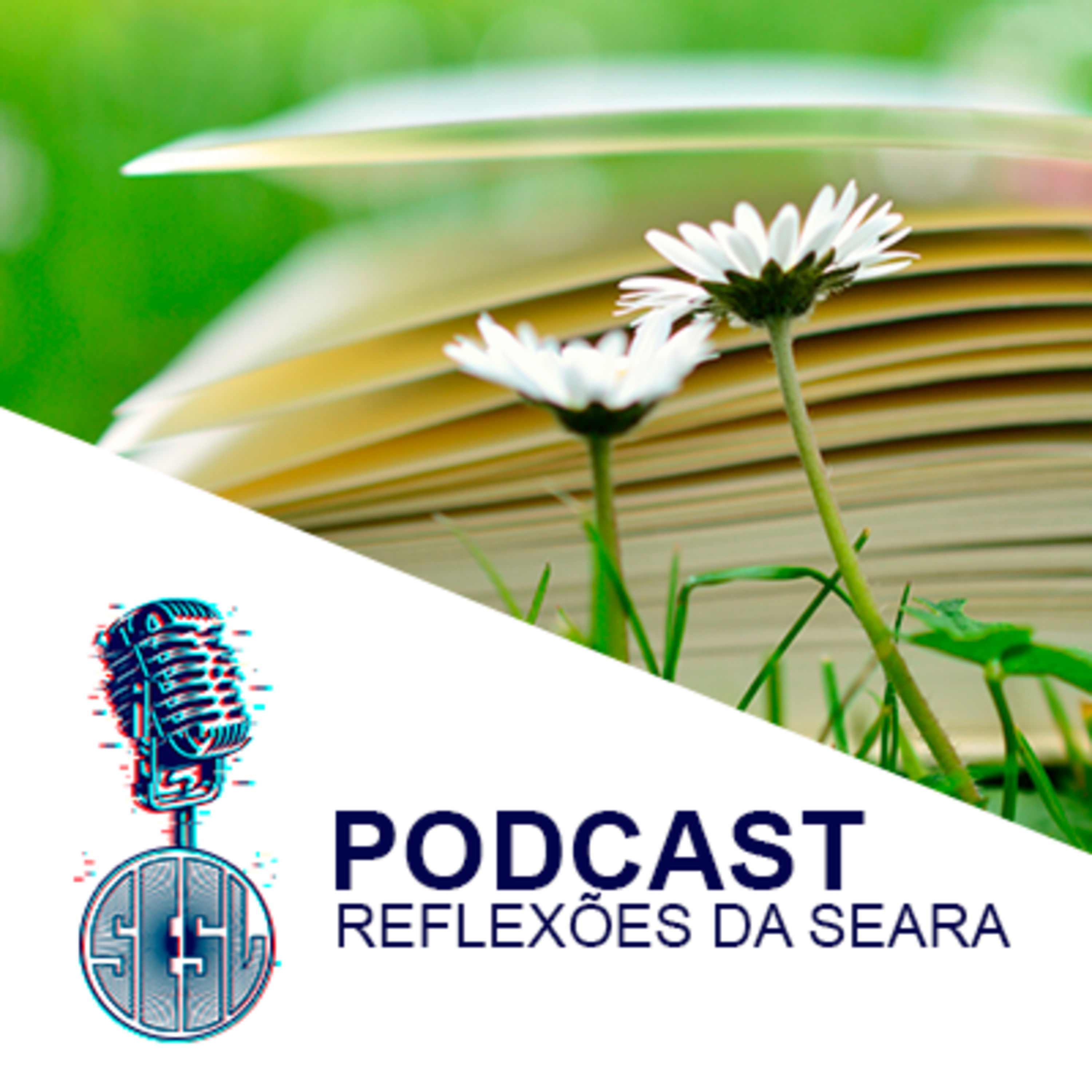 Reflexões da Seara