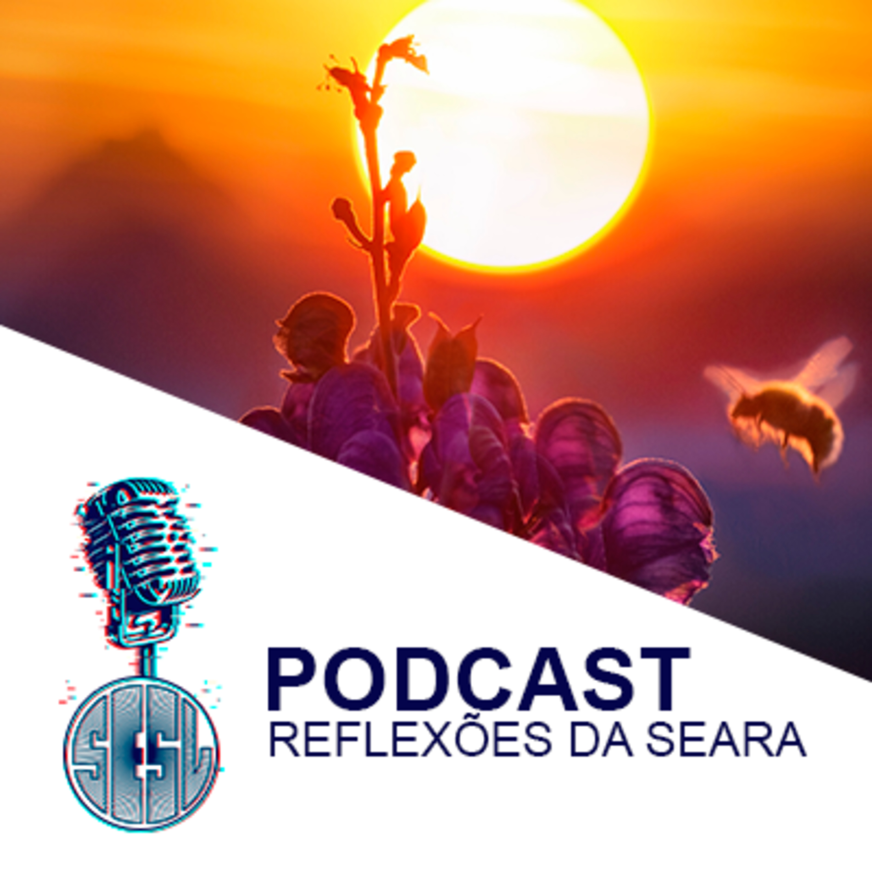 Reflexões da Seara