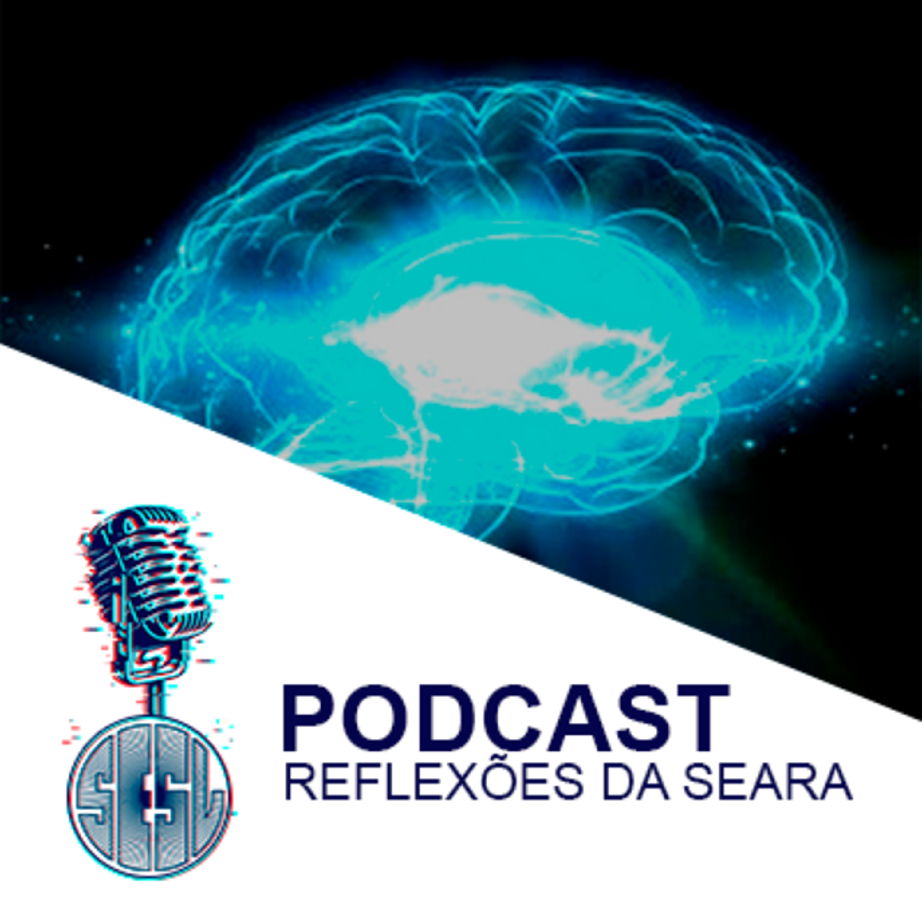 Reflexões da Seara