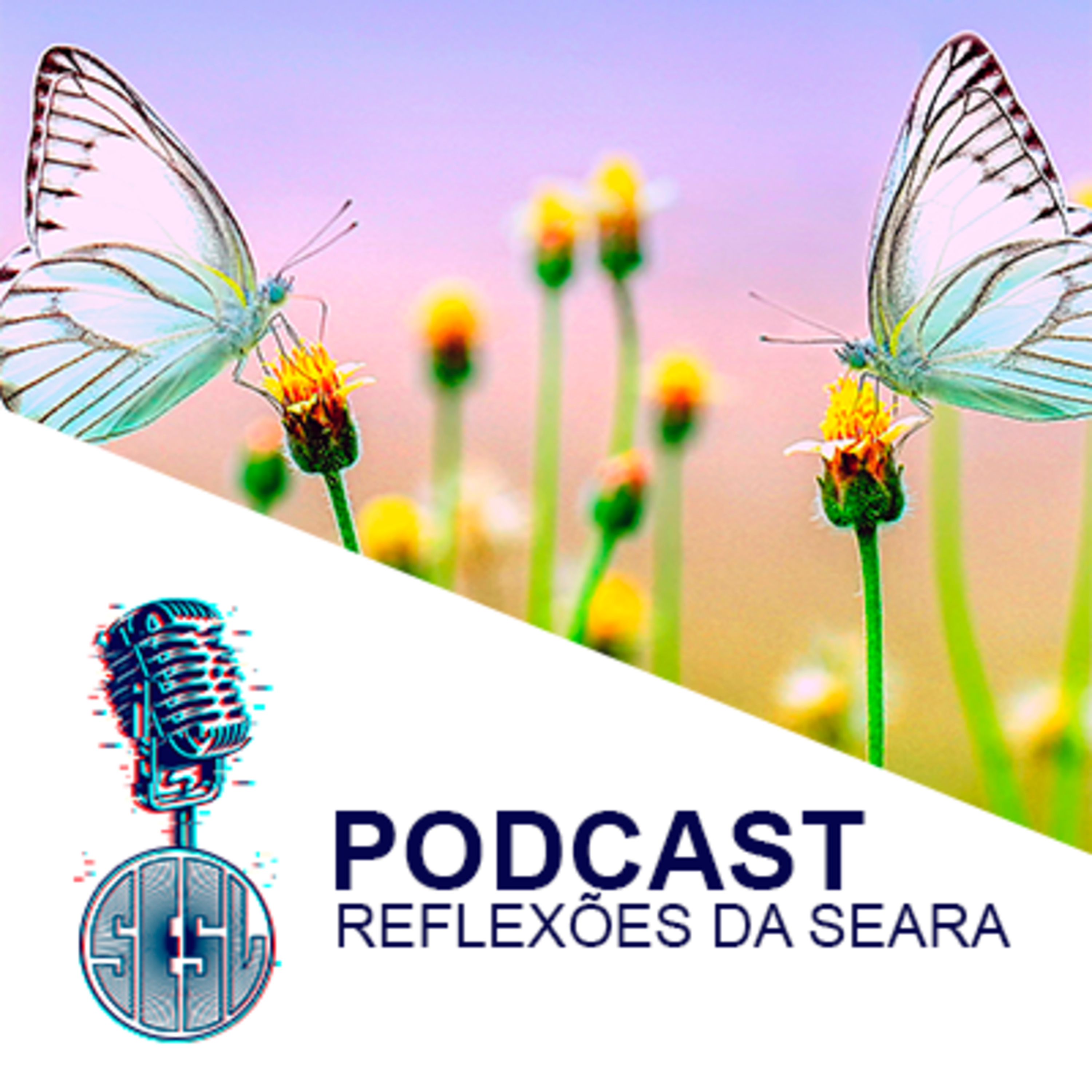 Reflexões da Seara